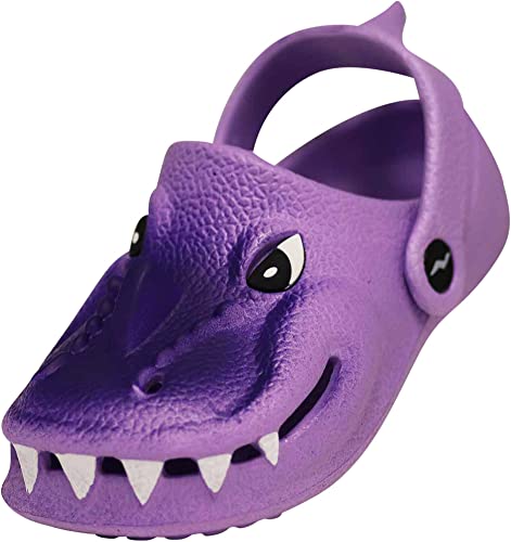 Purple Alligator