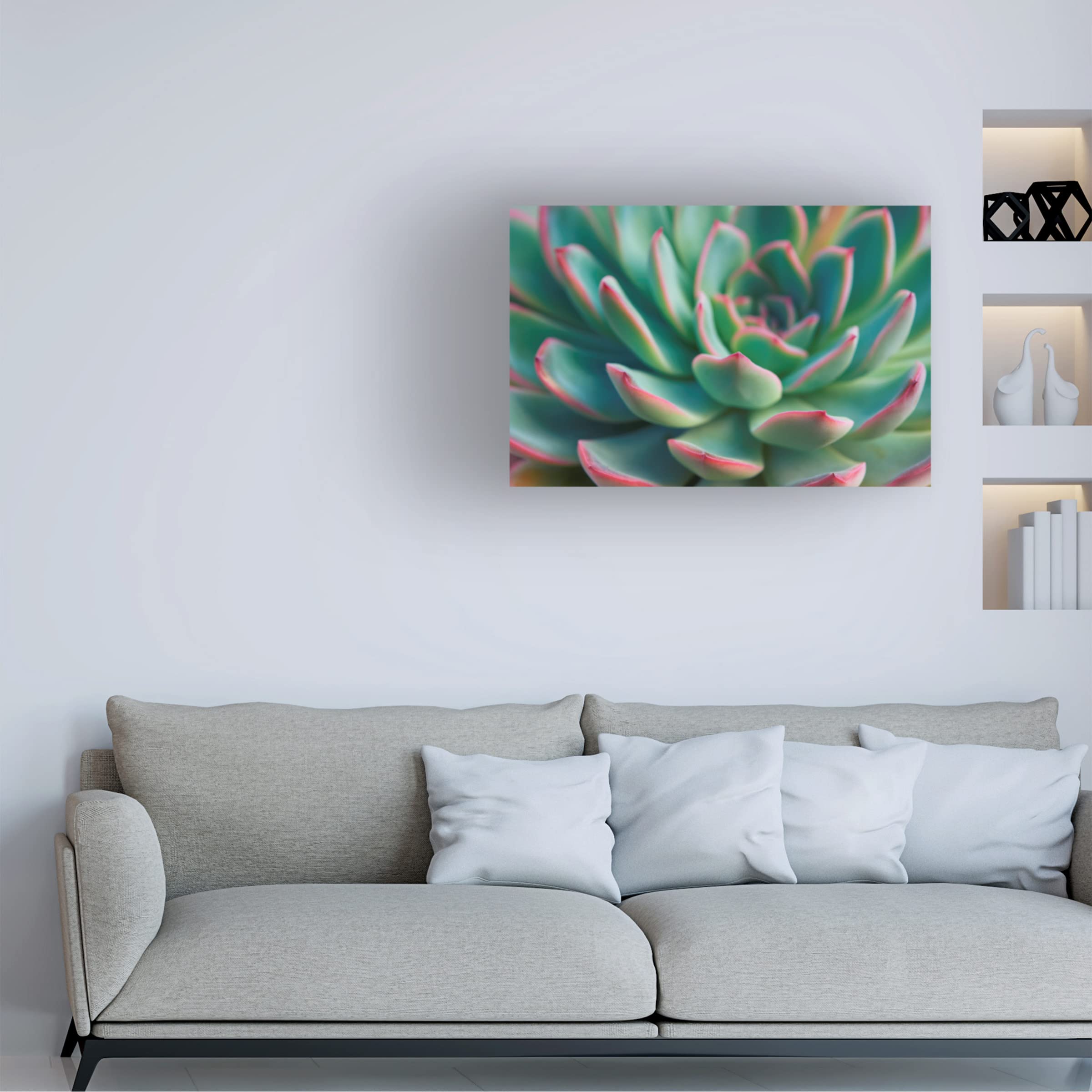 Trademark Fine Art 'Succulent Close Up I' Canvas Wall Art Print by Cora Niele - Modern Botanical Decor for Living Room, Bedroom & Office
