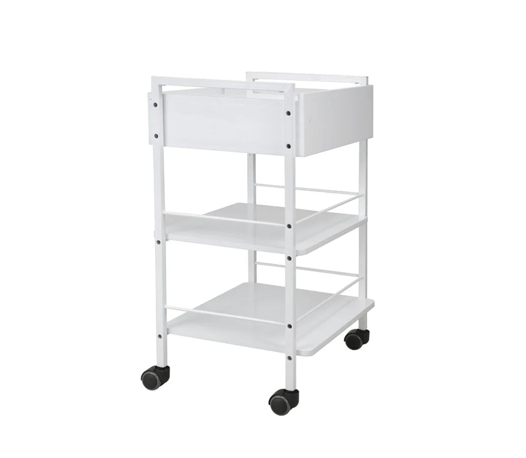 Silverfox Beauty Trolley 1019A - Professional Rolling Makeup Case with Wheels for Salon, Spa & Mobile Makeup Artists | Perfect for Cosmetics Storage & Organization On-The-Go
