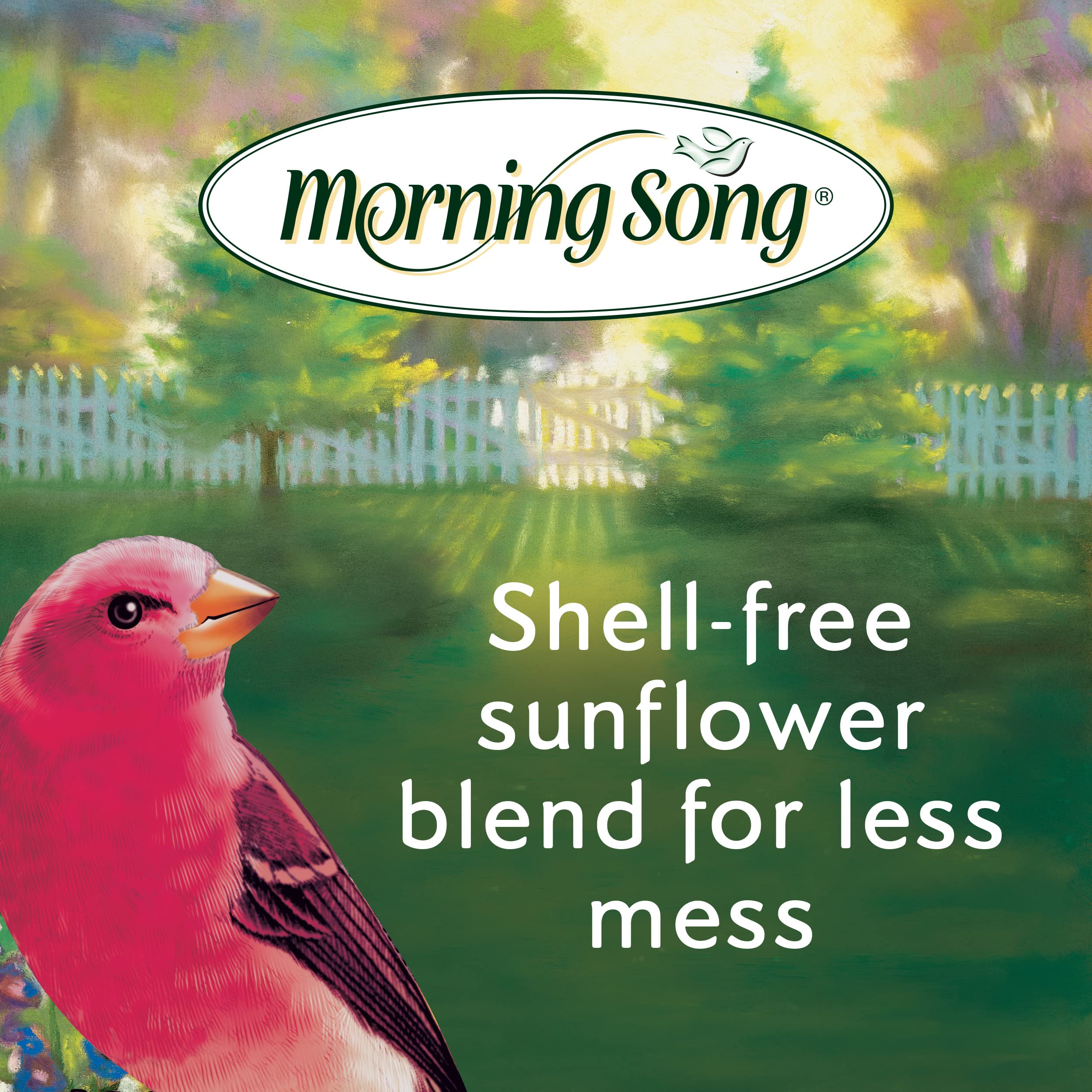 Morning Song Clean & Free Shell-Free Wild Bird Food - Premium No Mess Bird Seed for Outdoor Feeders (10-Pound Bag) - Attracts Cardinals, Finches & Songbirds to Your Backyard Garden