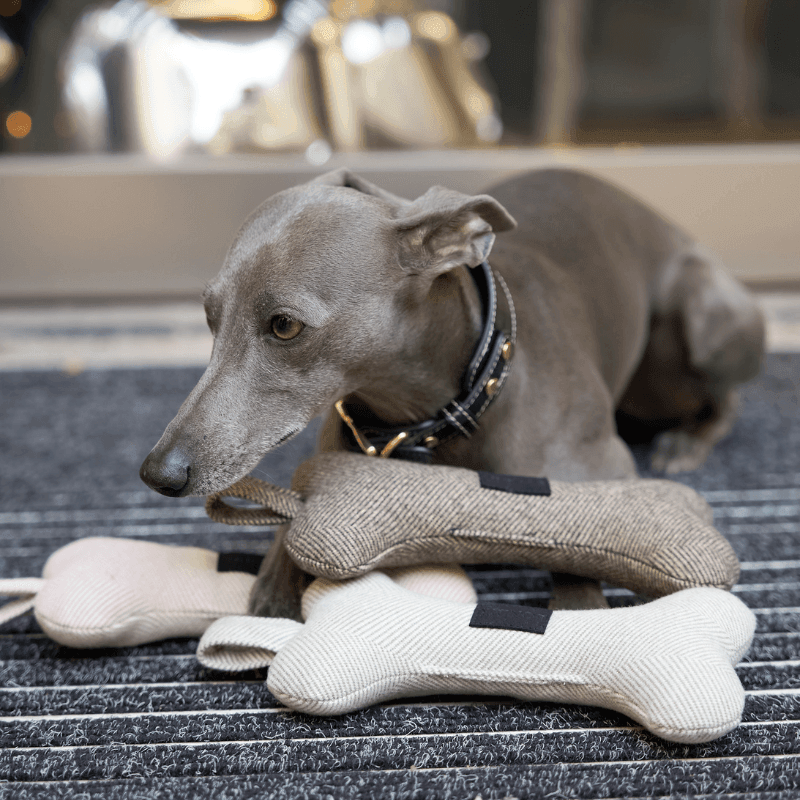 Durable Tweed Squeaky Bone Dog Toy Set for Small & Medium Dogs - Interactive Chew Toys for Puppies & Adult Dogs - Perfect for Indoor Play, Training & Dental Health
