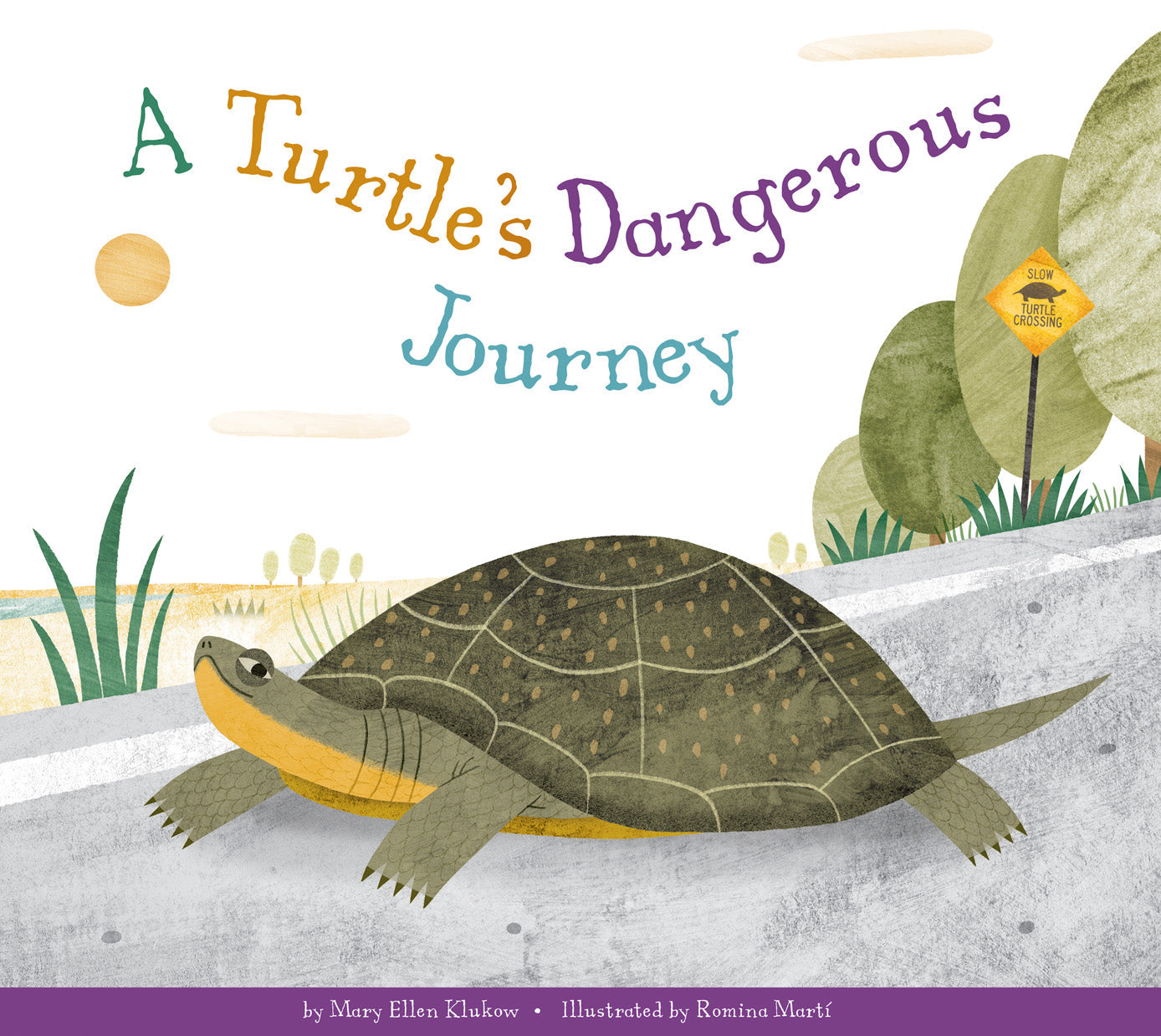 A Turtle's Dangerous Journey - Educational Kids Book About Sea Turtle Migration & Ocean Conservation - Perfect for Classroom Reading & Bedtime Stories