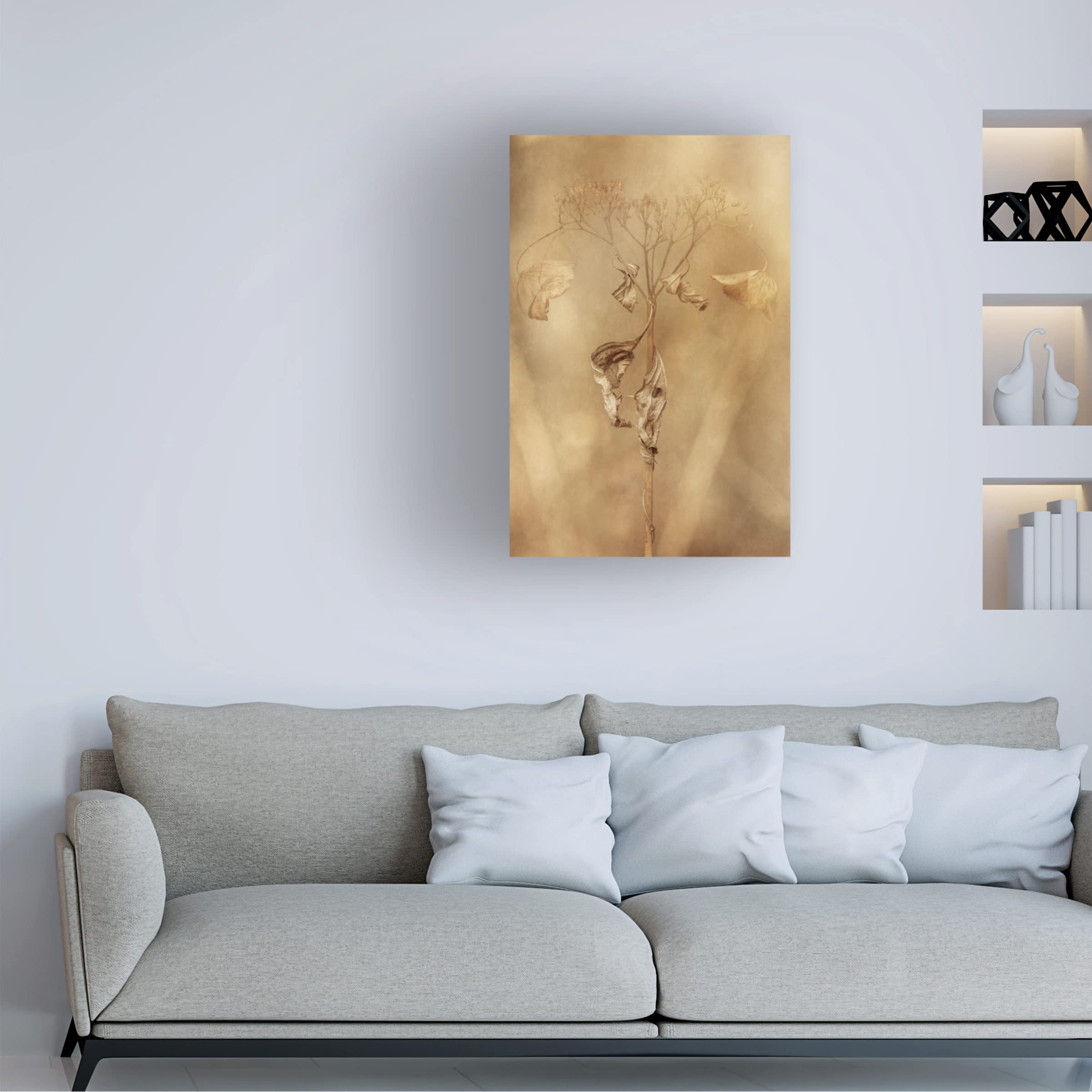 Takashi Suzuki 'Whitered Hydrangea 11' Canvas Wall Art Print - Floral Botanical Home Decor for Living Room, Bedroom & Office