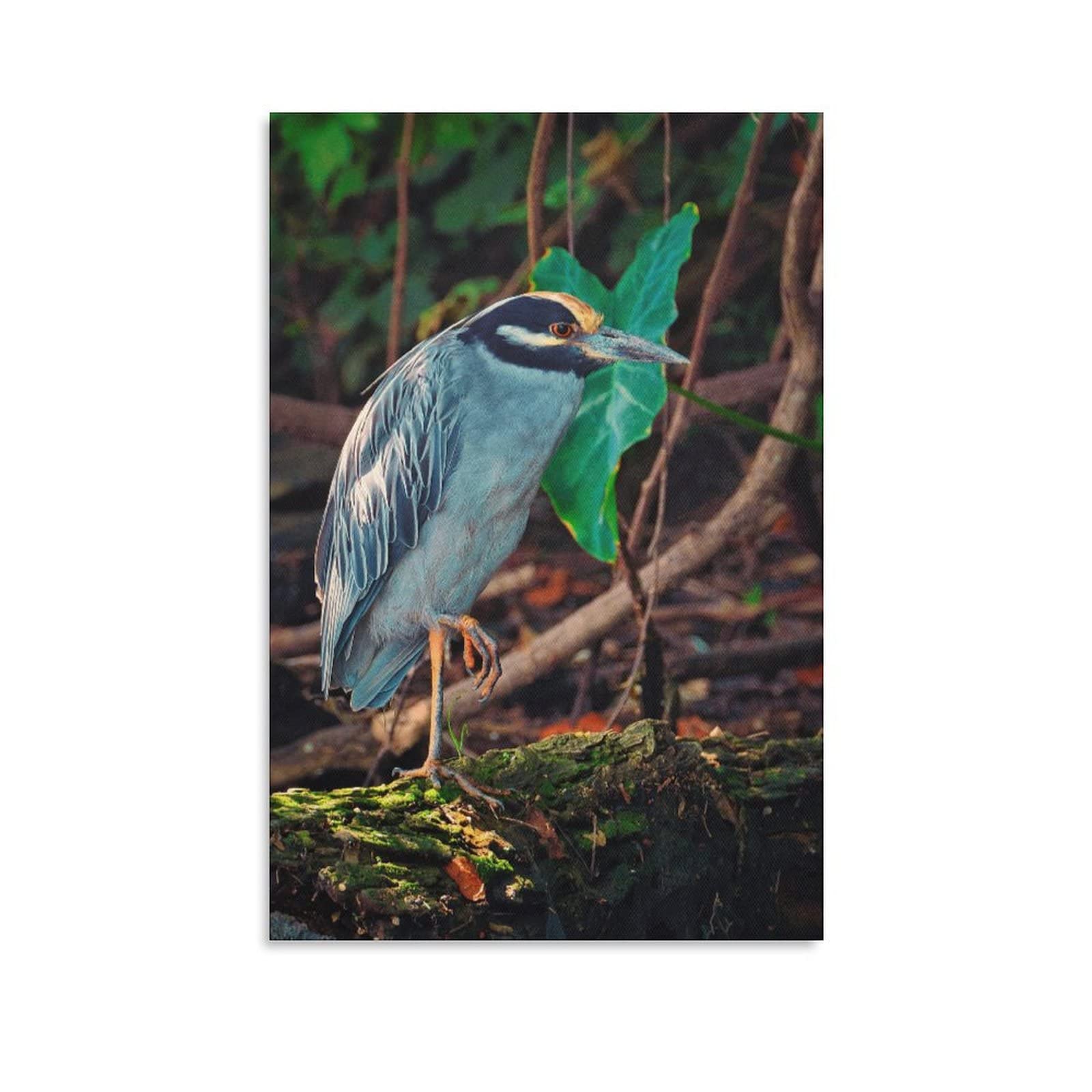 Wildlife Night Heron Bird Canvas Wall Art - 12x18 Inches (30x45cm) Nature Painting for Living Room, Bedroom & Office Decor - Perfect Gift for Bird Lovers & Home Decoration