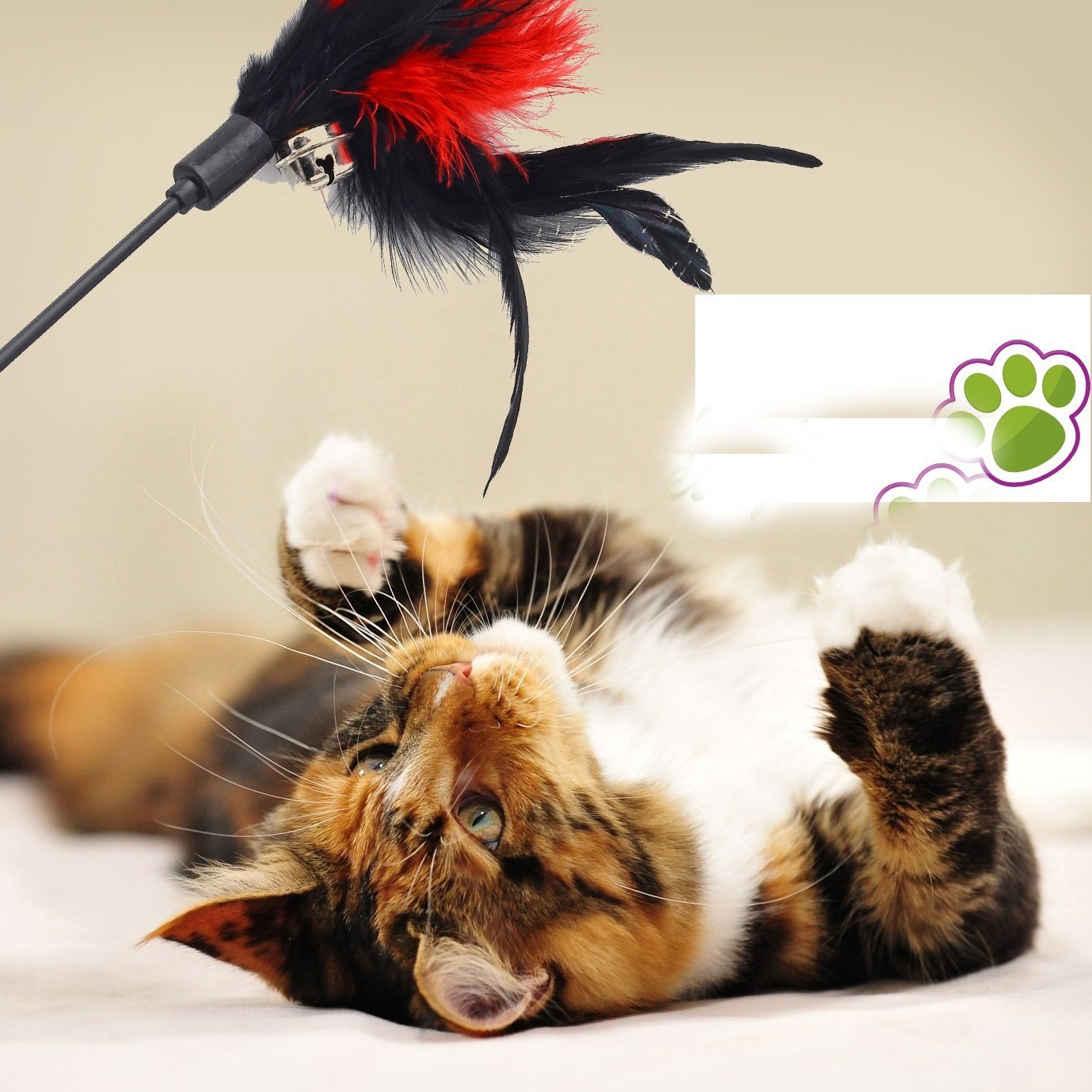 Interactive Cat Feather Teaser Toy Wand with Suction Cup & Replaceable Toys - Fun Exercise for Indoor Cats to Play Chase - Perfect for Playtime & Bonding (Colorful - Version 2)