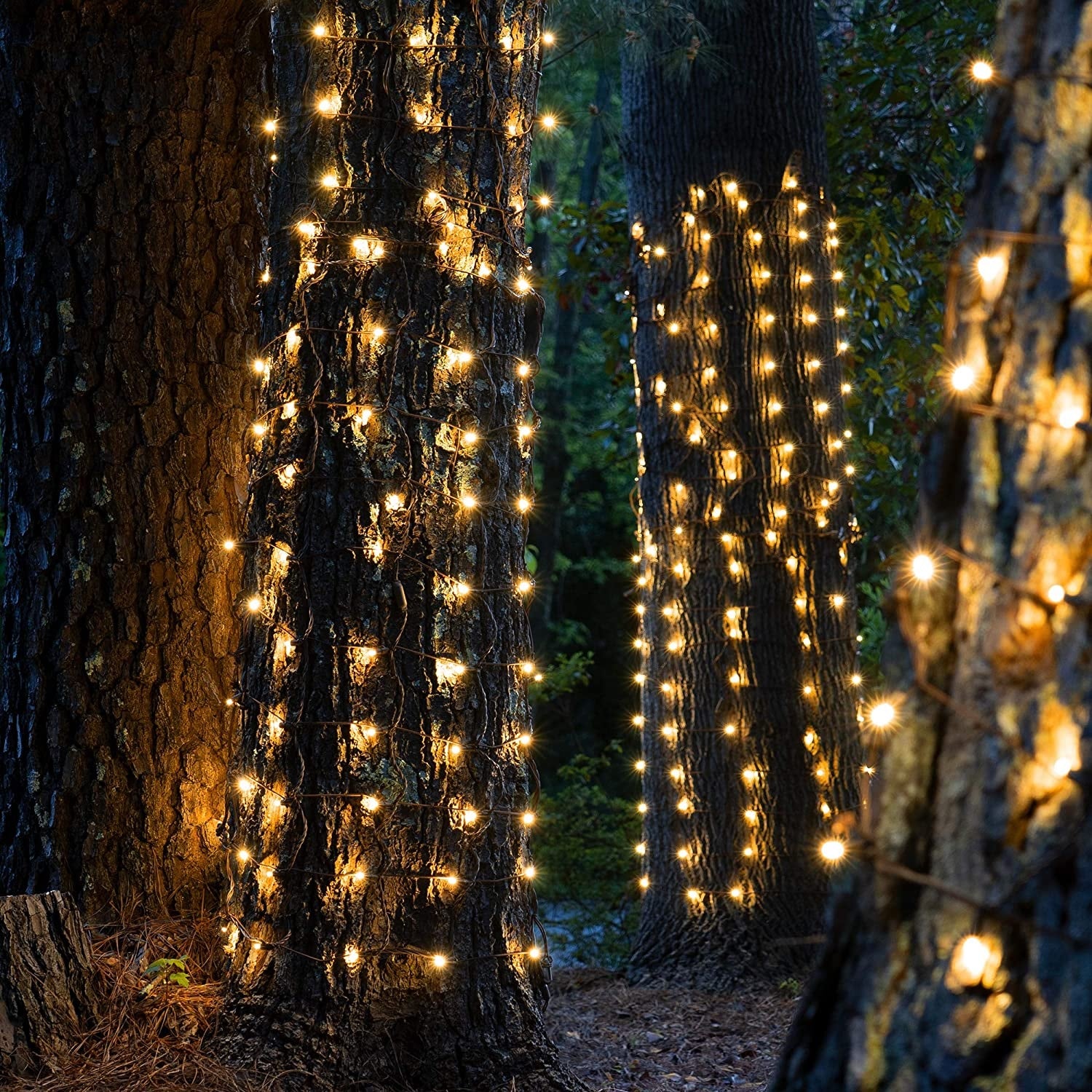 (Clear) Set of 100 Clear Tree Wrap Lights