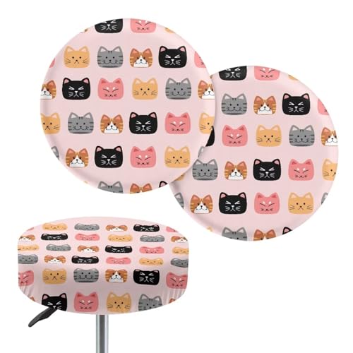Cute Cats