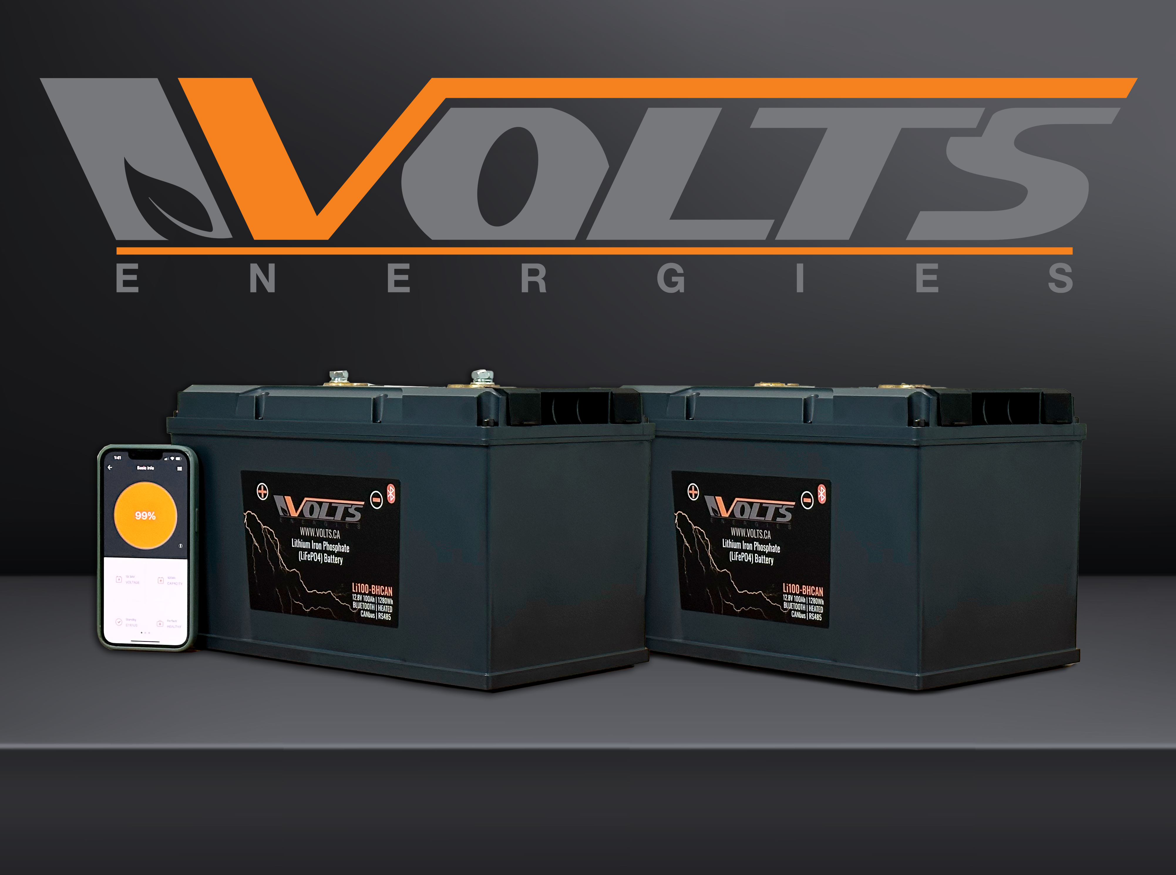 LiFePO4 Smart Self Heating 12V 100Ah Lithium Iron Phosphate Battery - Perfect for RV, Marine, Solar Power Systems & Off-Grid Applications