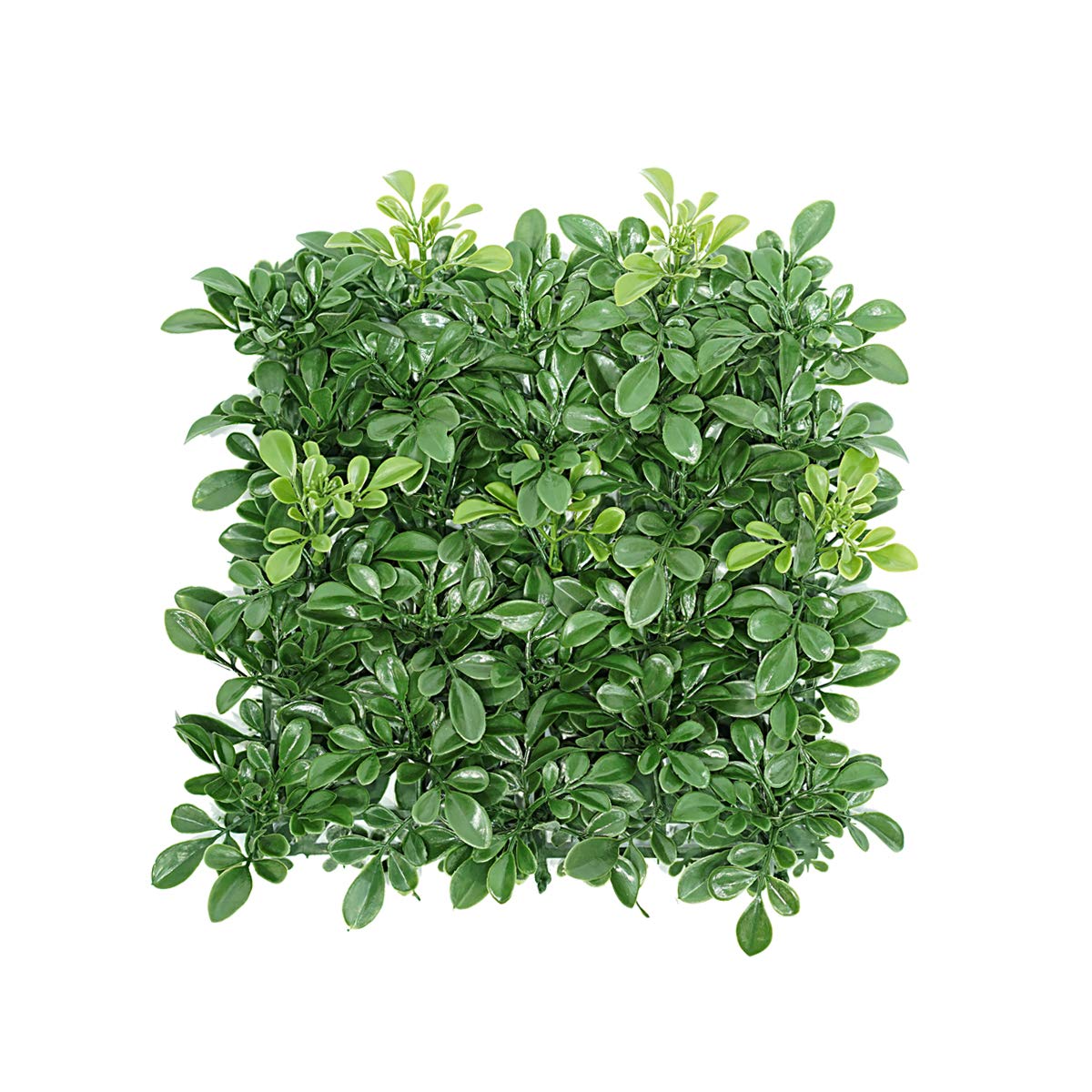 UV Resistant Artificial Boxwood Hedge Wall Panels - 8 Pack 20