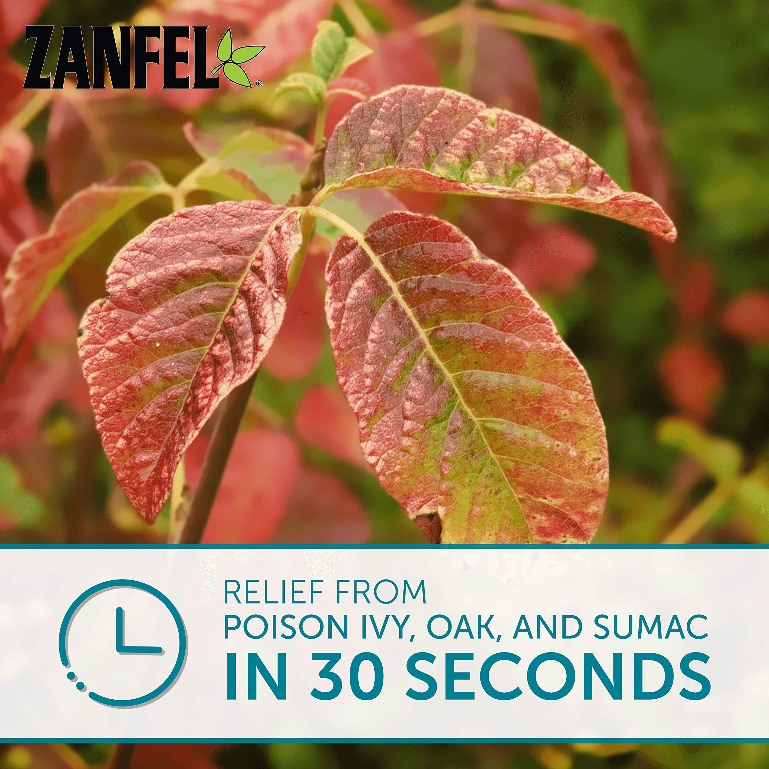 ZANFEL Poison Ivy, Oak & Sumac Wash Treatment - 1 Oz (2-Pack) | Fast Relief for Skin Irritation from Poisonous Plants | Ideal for Hiking, Camping & Outdoor Activities