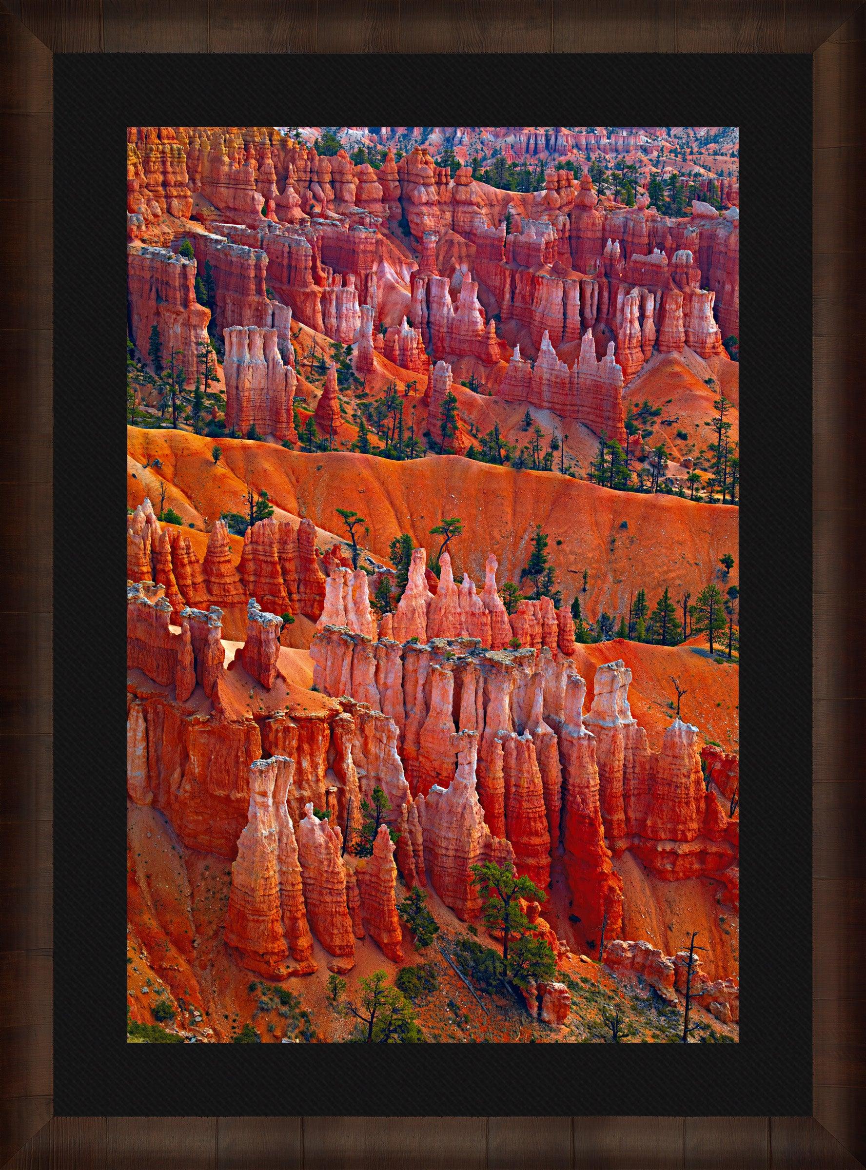 Canyon Splendour - Premium Outdoor Gear for Hiking, Camping & Adventure | Durable & Lightweight Equipment for Backpacking, Travel & Exploration