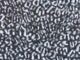 Black White Leopard