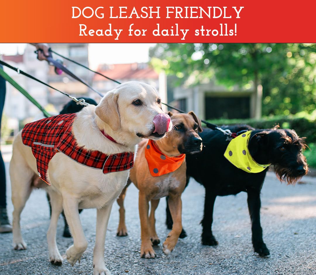 High Visibility Reflective Dog Vest - Adjustable Safety Vest for Walking, Hiking & Hunting | Fluorescent Blaze Orange Dog Apparel (Size L) - Perfect for Night Walks, Outdoor Adventures & Leash-Free Activities