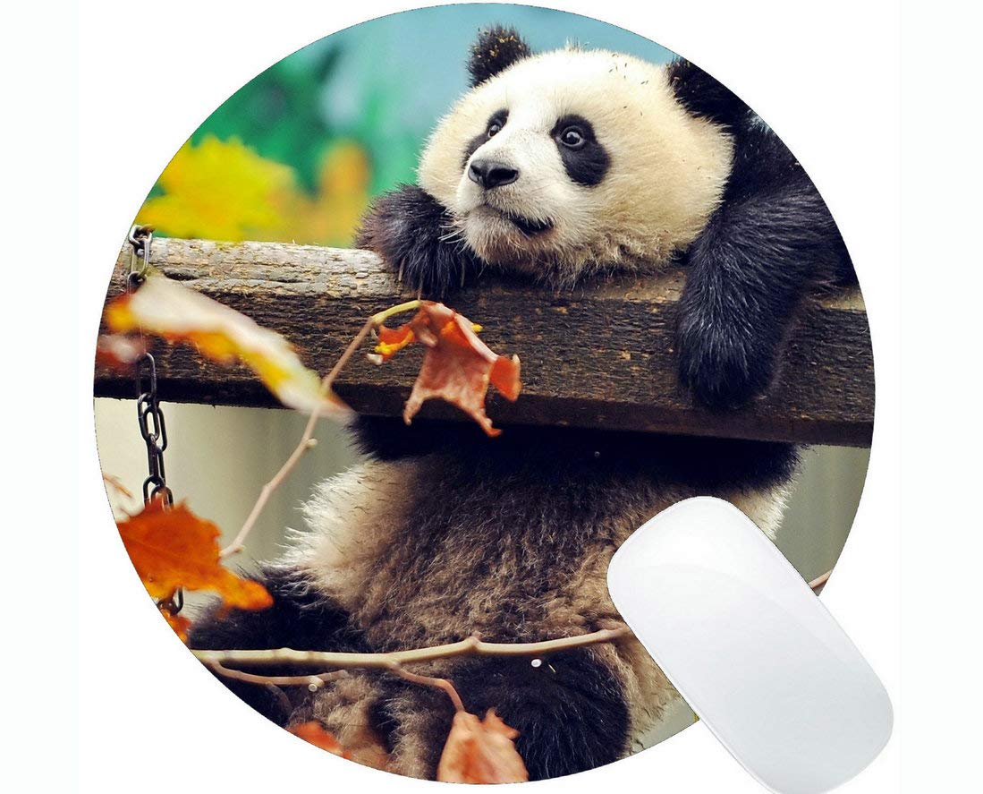 Round Mouse Pad with Stitched Edge - Panda & Autumn Leaves Design, Non-Slip Rubber Base for Laptop & Computer - Perfect for Office, Gaming & Home Workspace