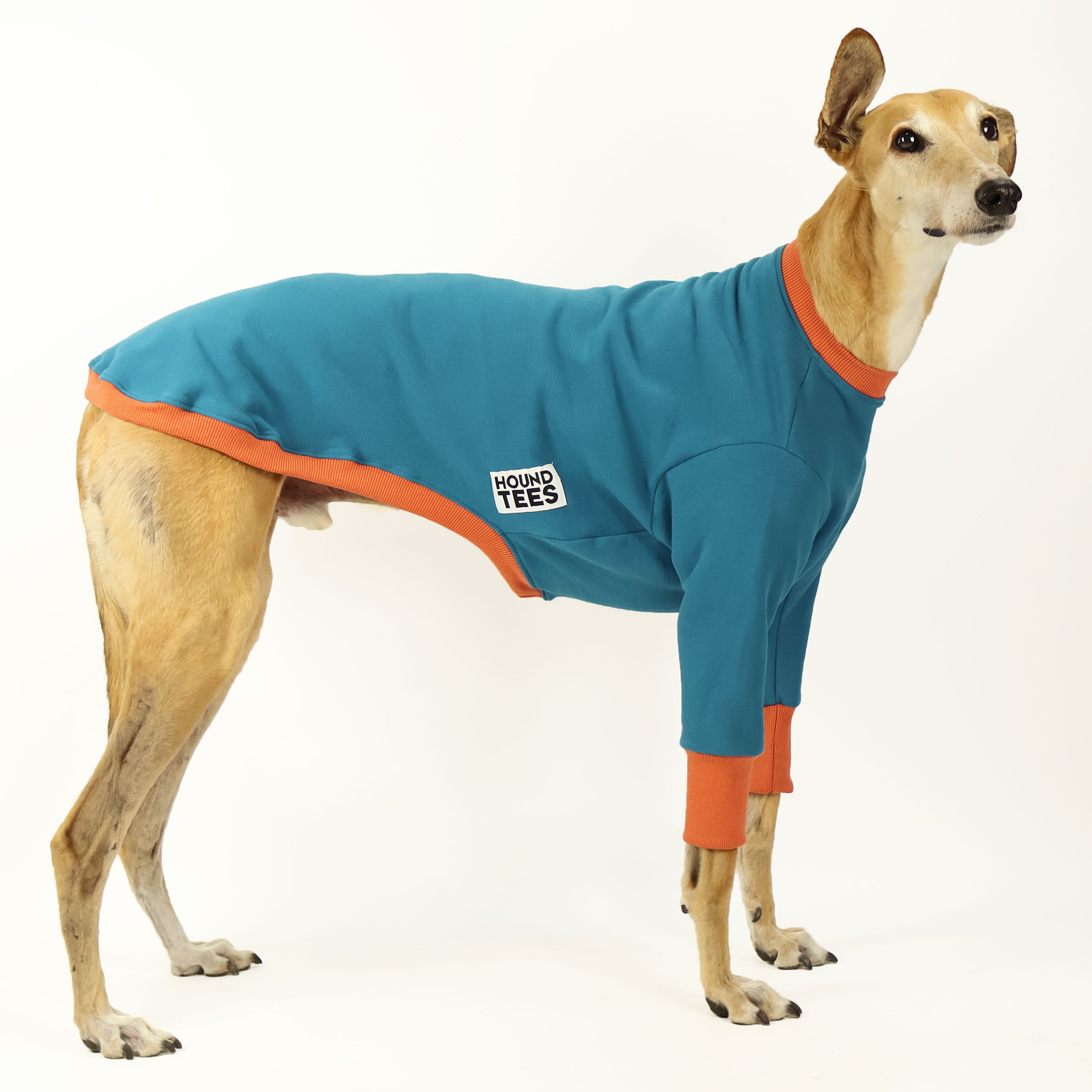 Bork Greyhound Sweater - Cozy Knit Dog Sweater for Small to Medium Breeds | Perfect for Winter Walks & Indoor Comfort