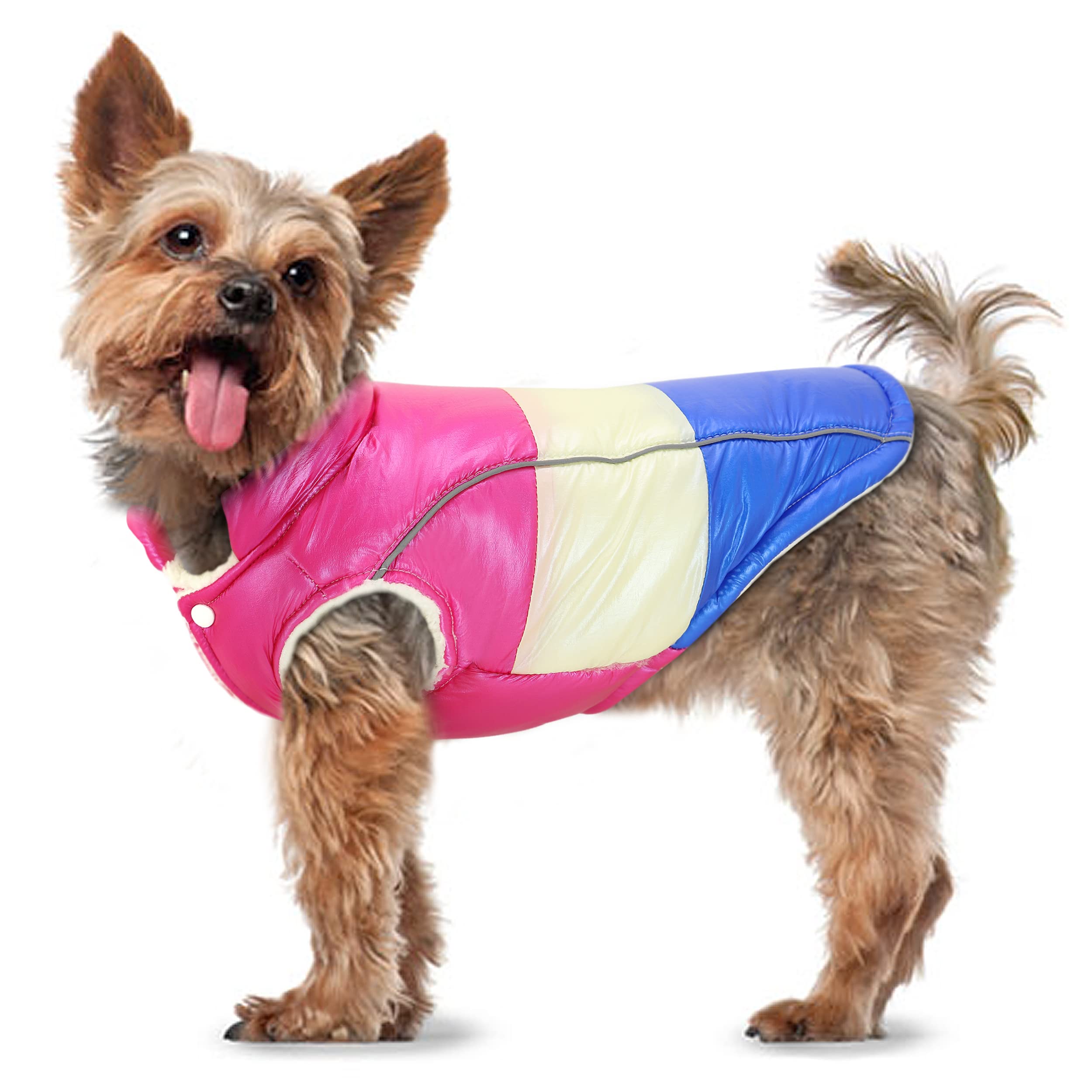 Didog Small Dog Winter Coat - Reflective Waterproof Vest Jacket with Warm Fleece Padded for Small Dogs & Puppies | Cold Weather Protection for Daily Use, Outdoor Walking & Hiking Adventures