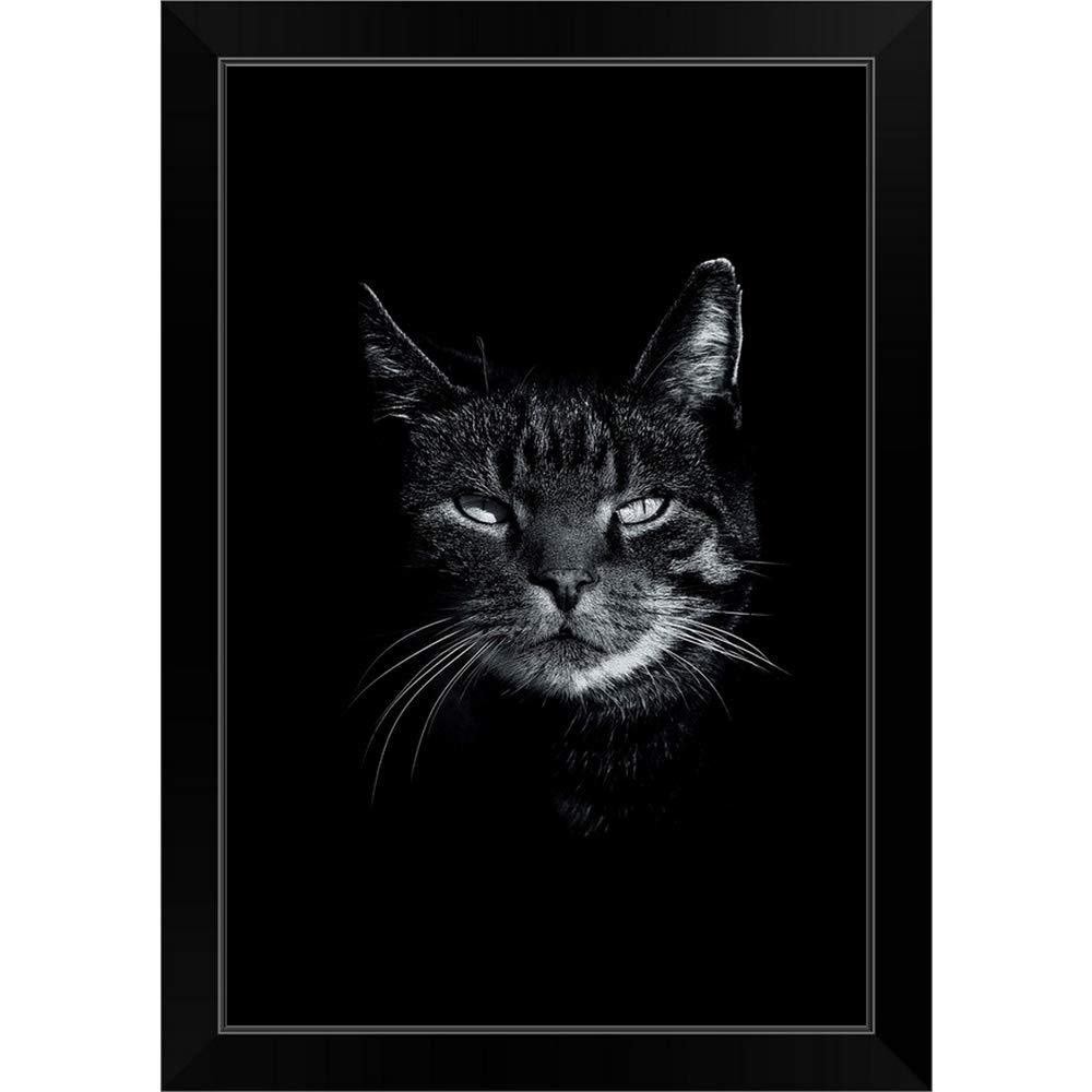 Dark Cat Black Framed Art Print - Elegant Cat Artwork for Home & Office Decor | Perfect for Living Room, Bedroom, or Gift