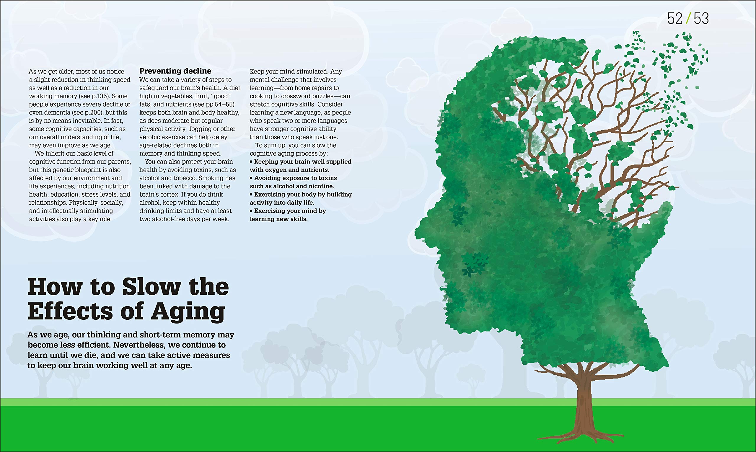How the Brain Works: The Facts Visually Explained - DK How Stuff Works | Neuroscience Book for Students & Educators | Perfect for Learning & Teaching Human Anatomy