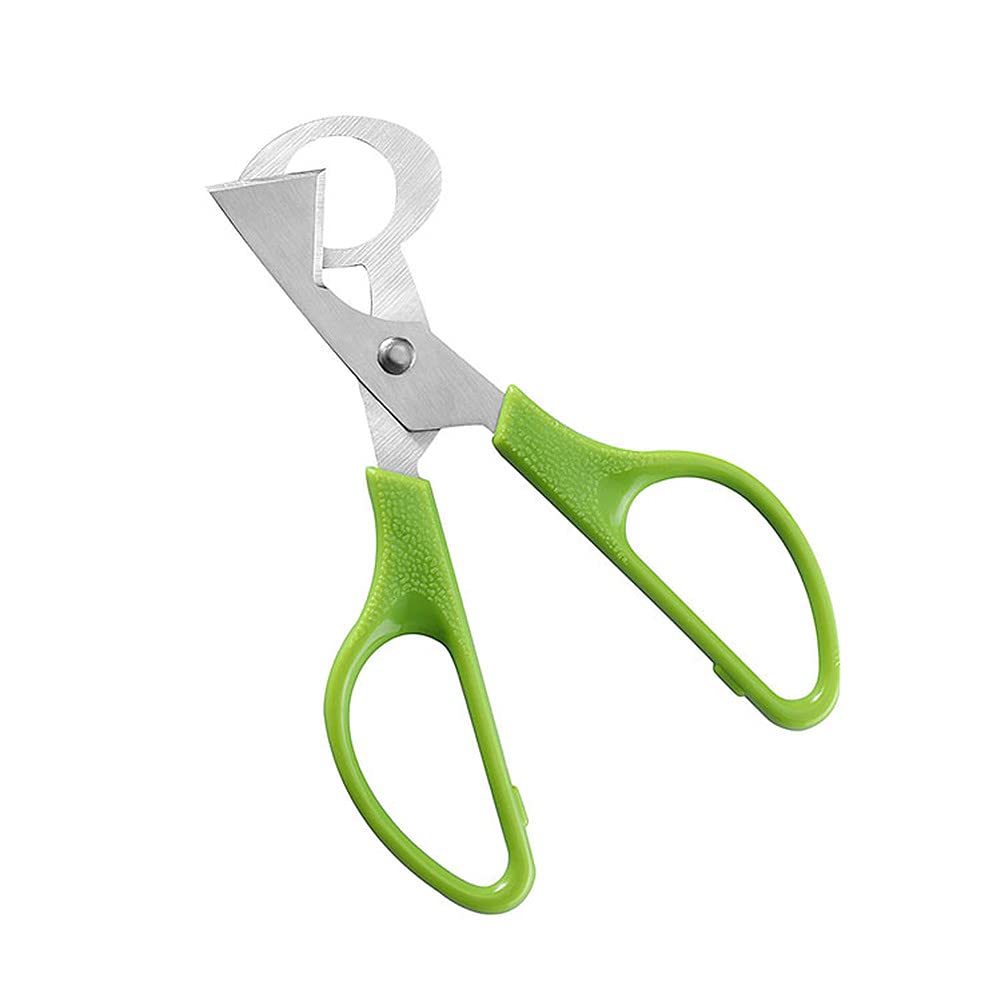 Quail Egg Scissors - Durable Egg Opener Tool for Kitchen Use