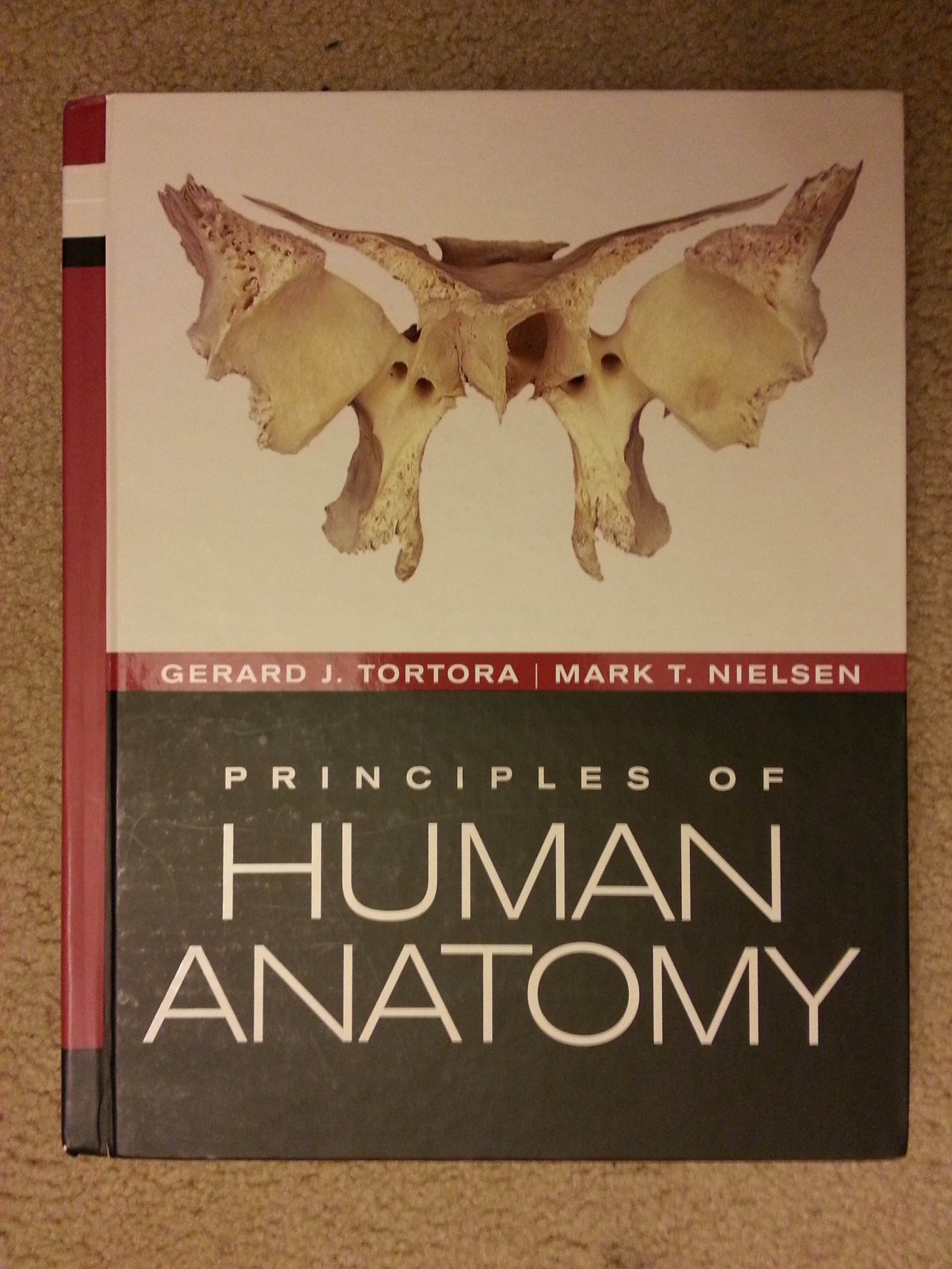 Principles of Human Anatomy - Comprehensive Guide for Medical Students & Professionals | Study, Research & Clinical Reference