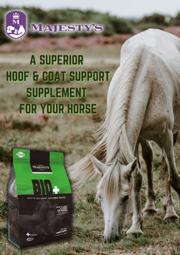 Majesty's BIO+ Biotin Wafers for Horses - Premium Hoof & Coat Supplement with Copper, Zinc, Lysine & Methionine (2 Pack, 120 Count) - Supports Healthy Hoof Growth & Shiny Coat for Show Horses & Performance Equines