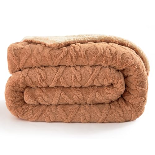 00 - Light Brown