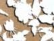 Soft Camel Floral