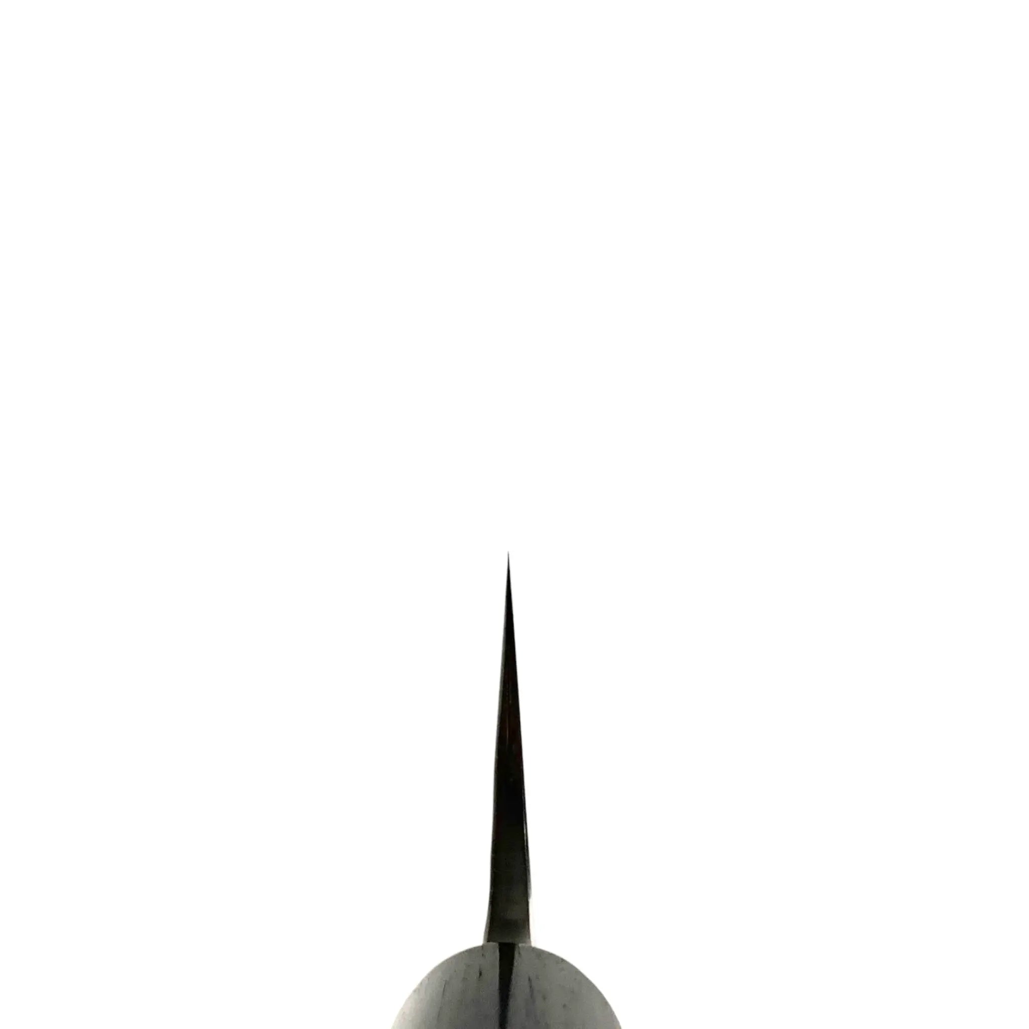 Anryu Aogami #2 Tsuchime Gyuto 210mm Japanese Chef Knife - High Carbon Steel Kitchen Knife for Professional Chefs & Home Cooking, Perfect for Slicing, Dicing & Meat Cutting