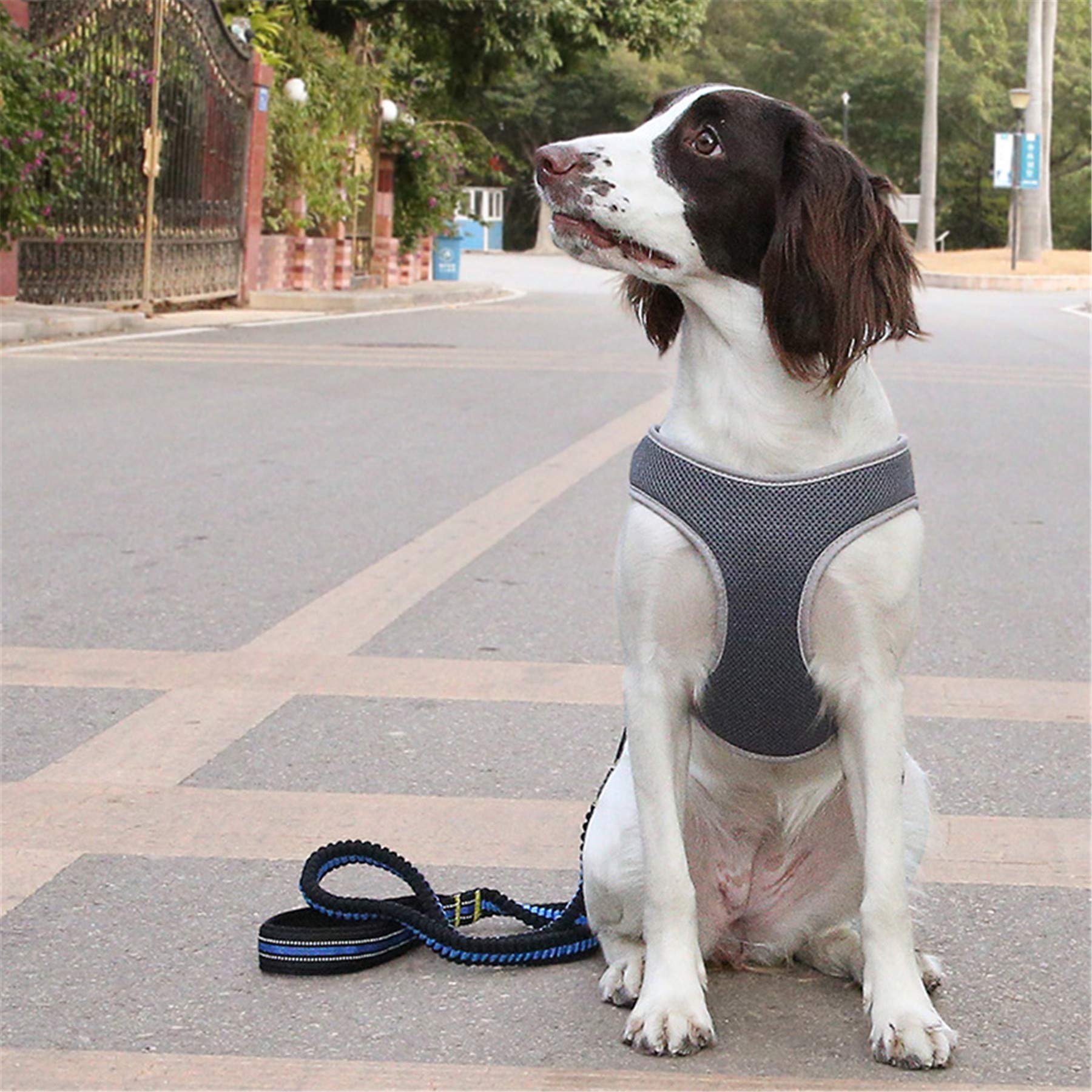 AVANER Adjustable No Pull Dog Harness - Easy On/Off Pet Vest with Nylon Handle for Small, Medium & Large Dogs - Perfect for Walking, Training & Outdoor Adventures