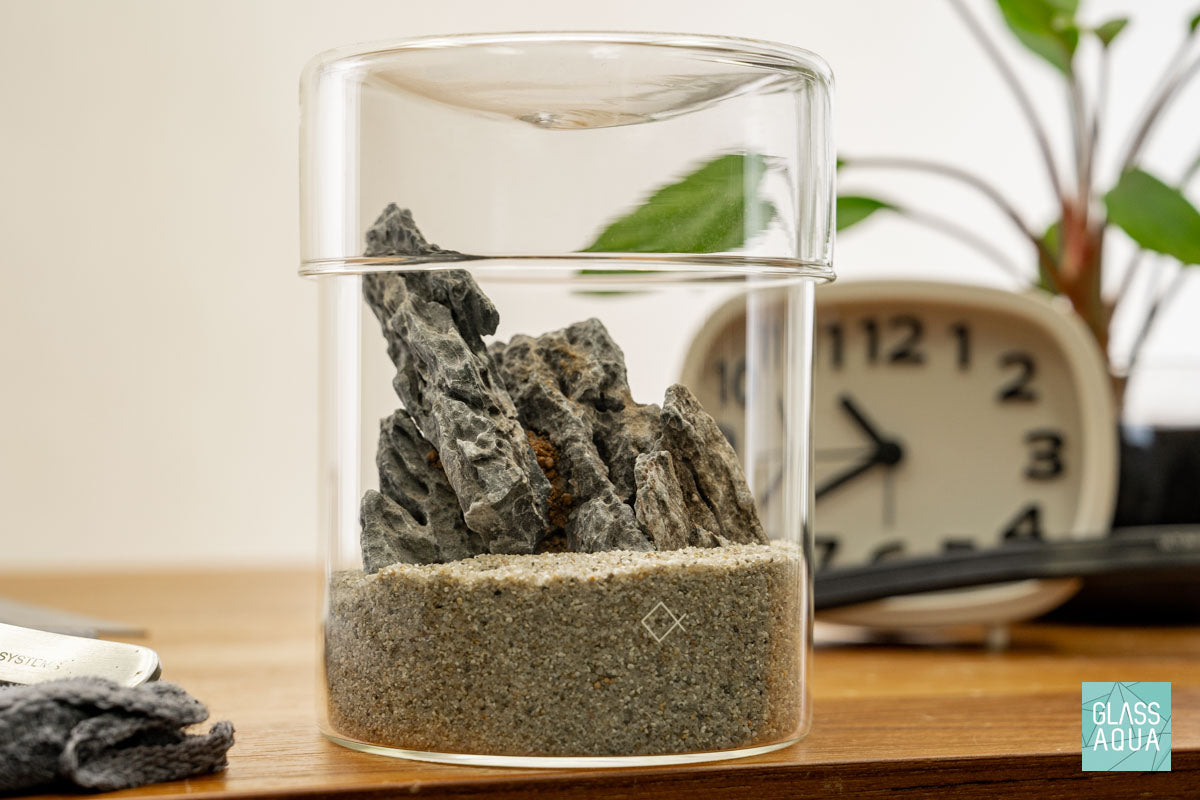 Miniature Terrarium Kit for Home Decor - DIY Glass Garden with Succulents & Air Plants - Perfect for Office Desk, Living Room, or Gift Giving