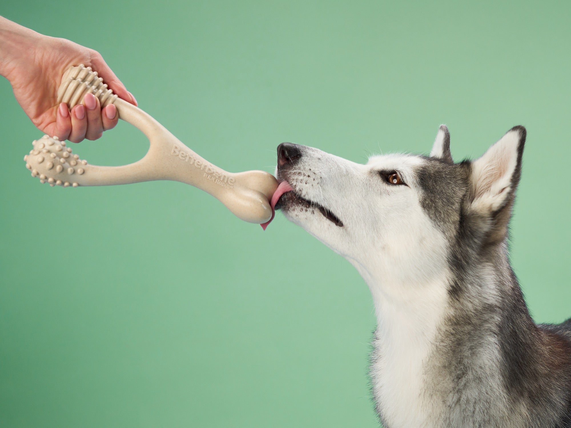 BetterBone MEDIUM: Hypoallergenic Chew Bone for Dogs - Safe & Durable Dental Treat for Medium Breeds - Perfect for Teething, Anxiety Relief, and Training Rewards