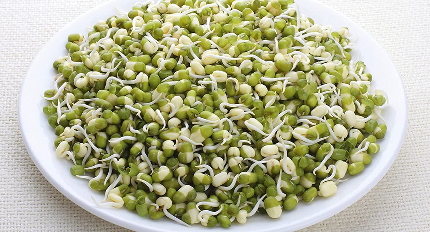 TOPSPIRIT Organic Sprout Maker Kit - 4 Bowl Germination Container for Fresh Bean & Seed Sprouts | BPA-Free Home Sprouting System for Healthy Eating | Perfect for Salads, Sandwiches & Vegan Recipes