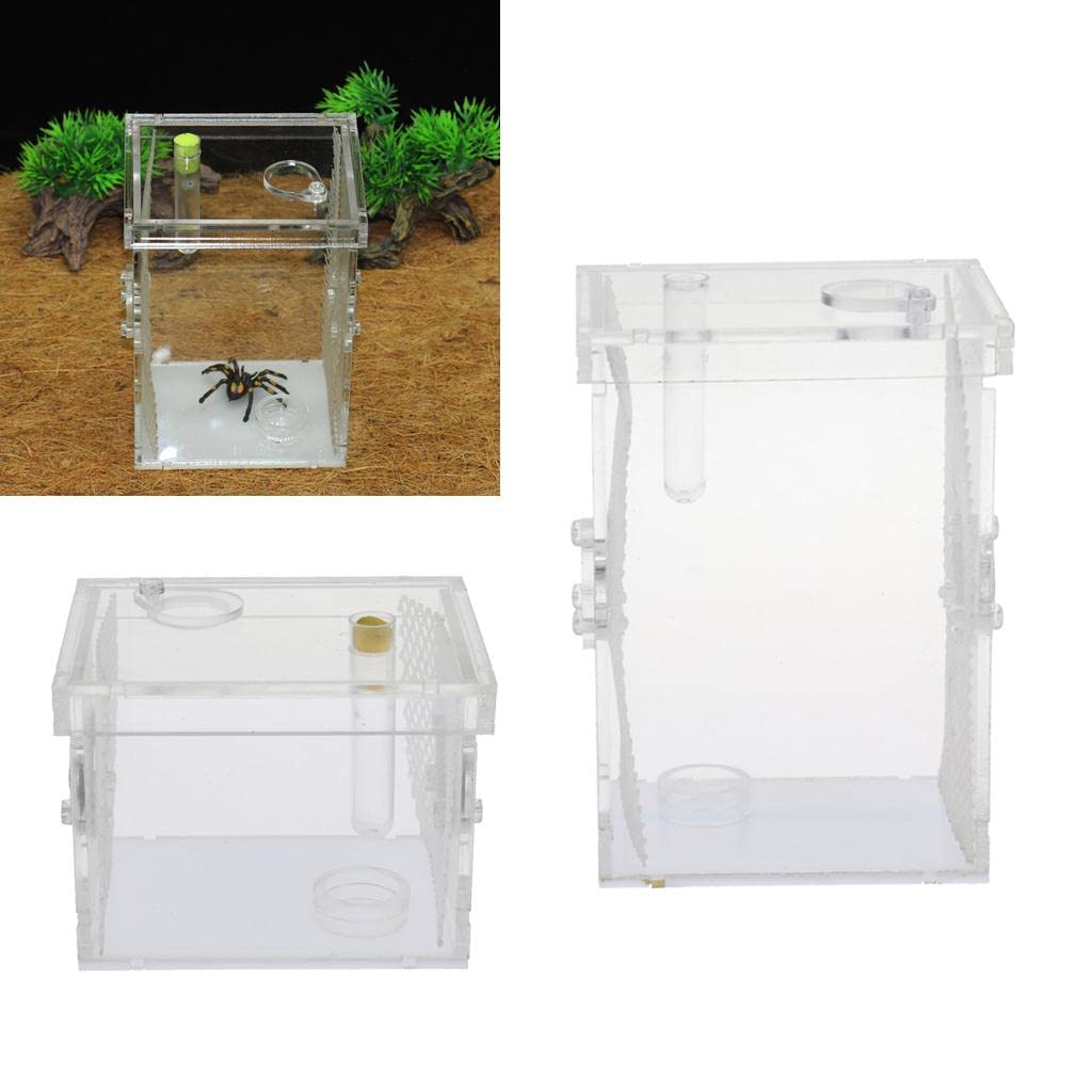Premium Small Reptile Feeding Box - Ideal for Mantis, Centipede, Spider & Insect Pets | Escape-Proof Enclosure for Feeding & Observation | Perfect for Pet Owners & Breeders