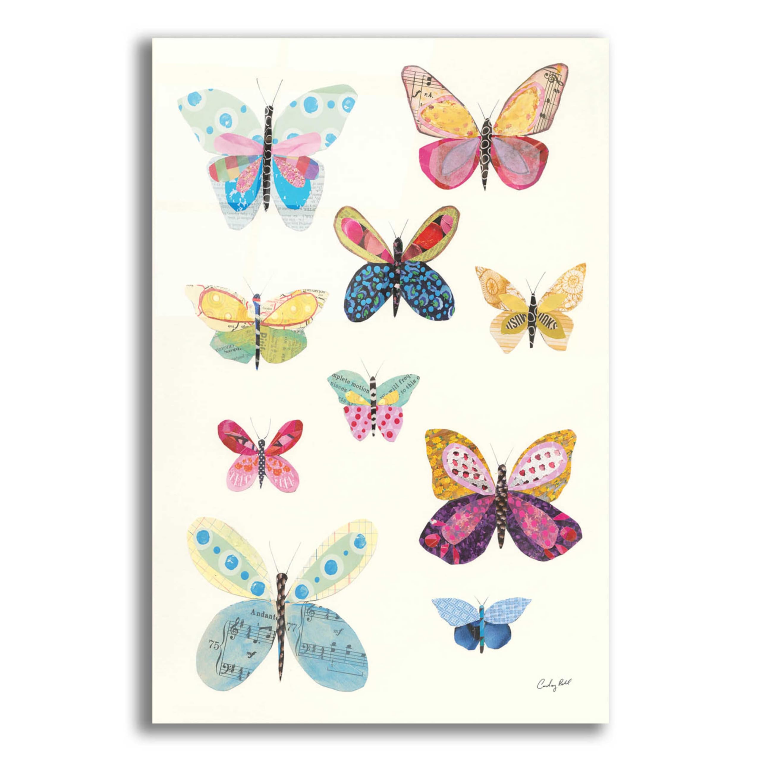 Courtney Prahl Butterfly Charts I - 16x24 Inch Acrylic Glass Wall Art Painting, Modern Abstract Home Decor for Living Room, Bedroom & Office