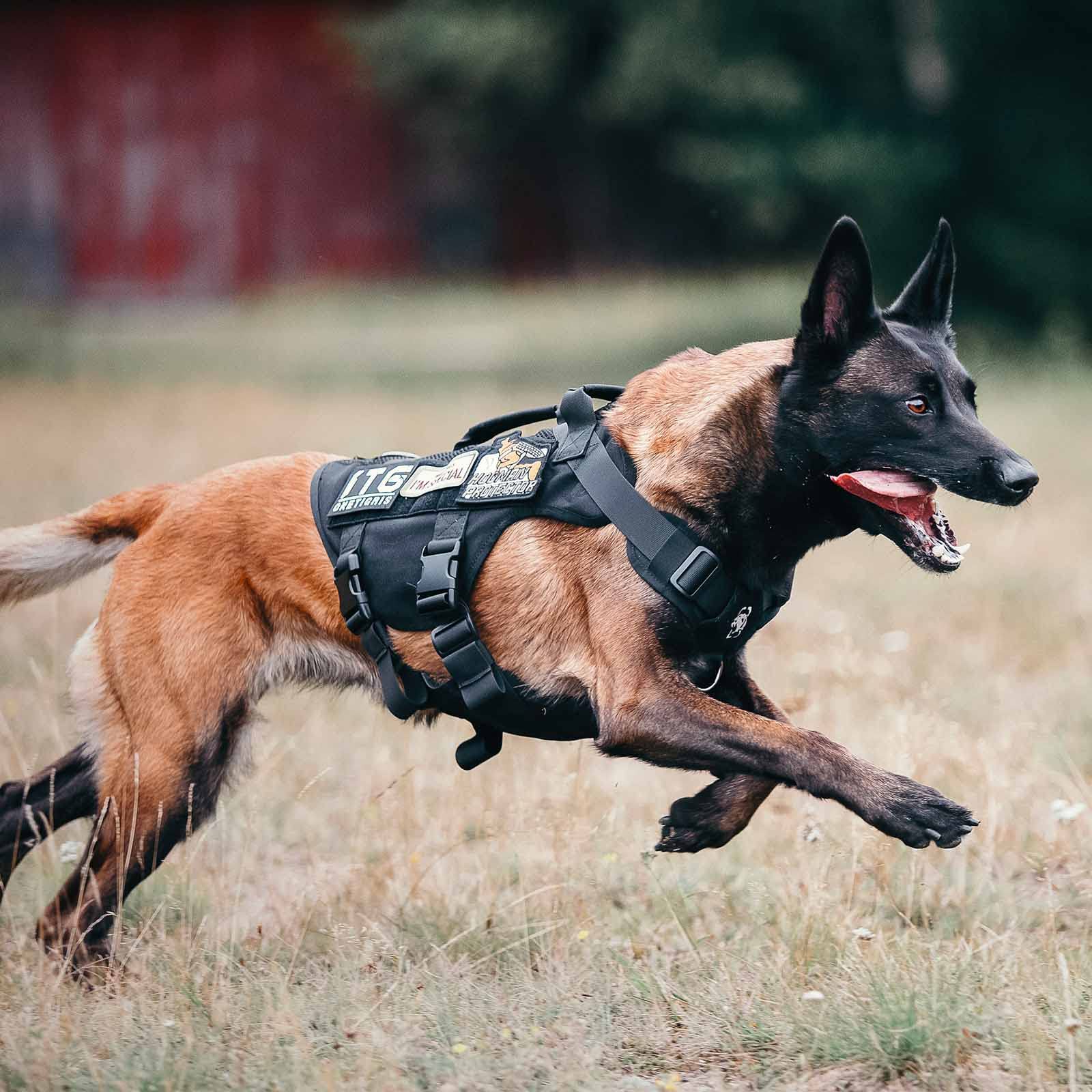 OneTigris No Pull Tactical Dog Harness for Medium Dogs - Breathable Aire Mesh Military Vest with Molle System & Handle - Adjustable Service Dog Harness for Walking, Hiking, Training (M, Black) - Perfect for Outdoor Adventures & Daily Use