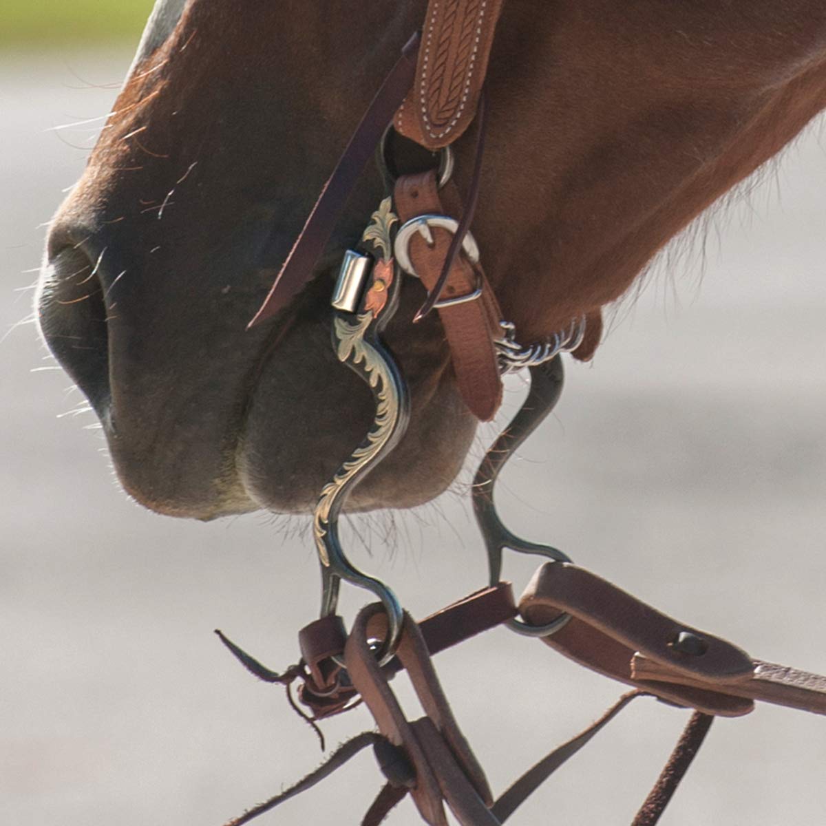 Classic Equine Floral Scroll Tool Box Cavalry Shank Bit with Correction - 8 Inch Horse Training Bit for Western Riding & Dressage | TBBIT38CS10 | Perfect for Trail Riding, Show Jumping & Professional Training