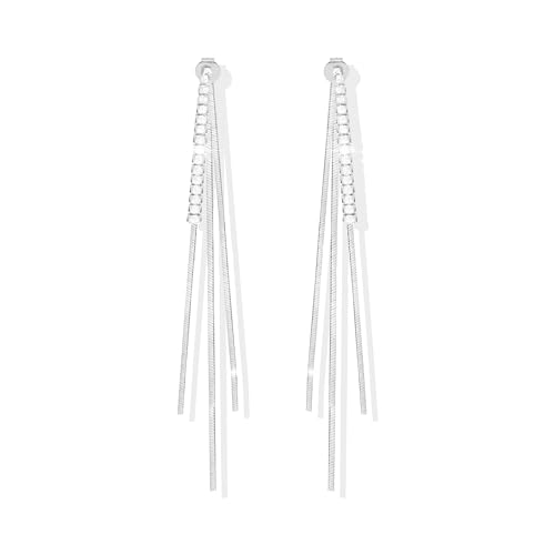 B3：silver tassel earrings