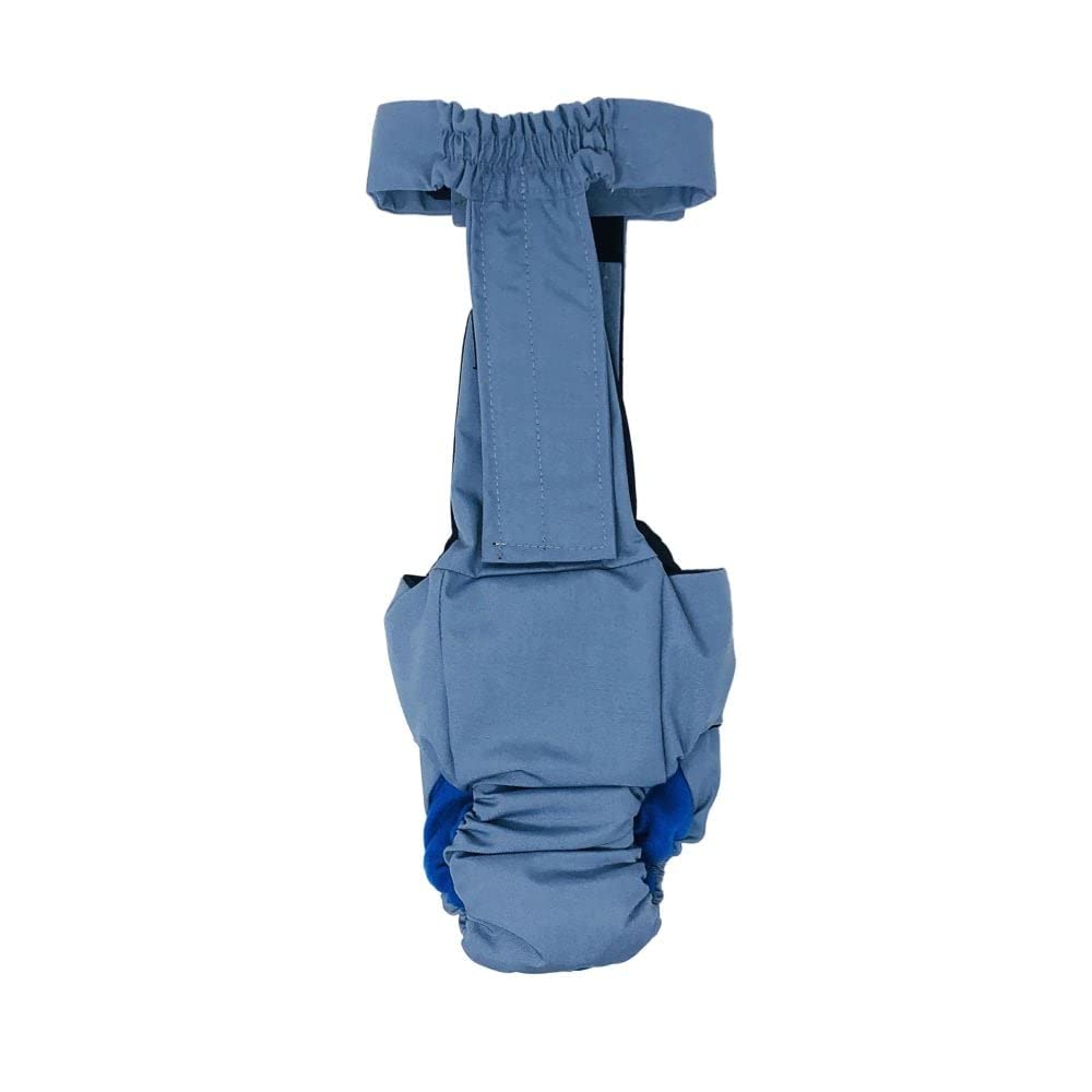 Baby Blue Dog Diaper Overall Size S with Tail Hole | Made in USA | Washable Pet Diaper for Small Dogs | Perfect for House Training, Travel & Post-Surgery Care