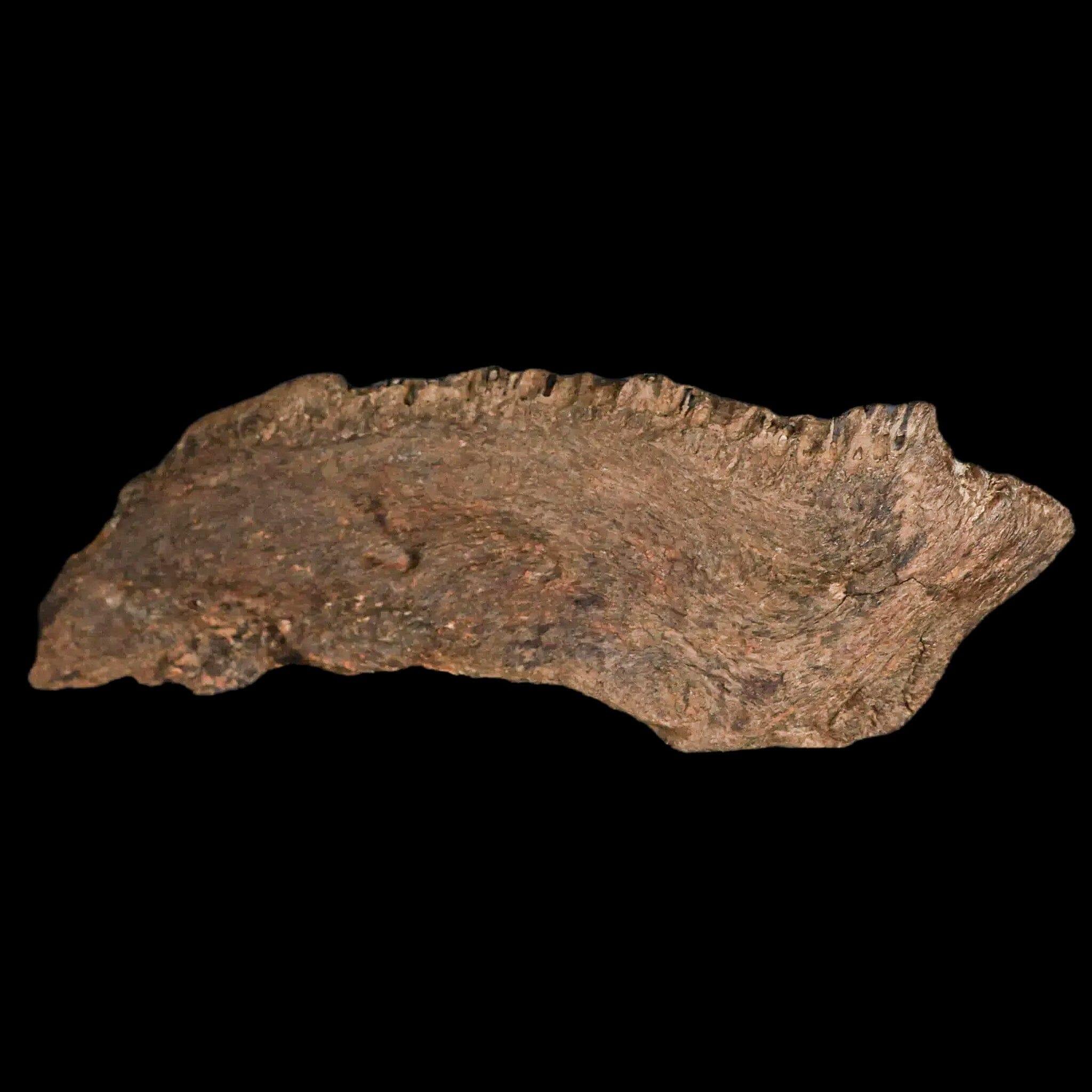 5.6