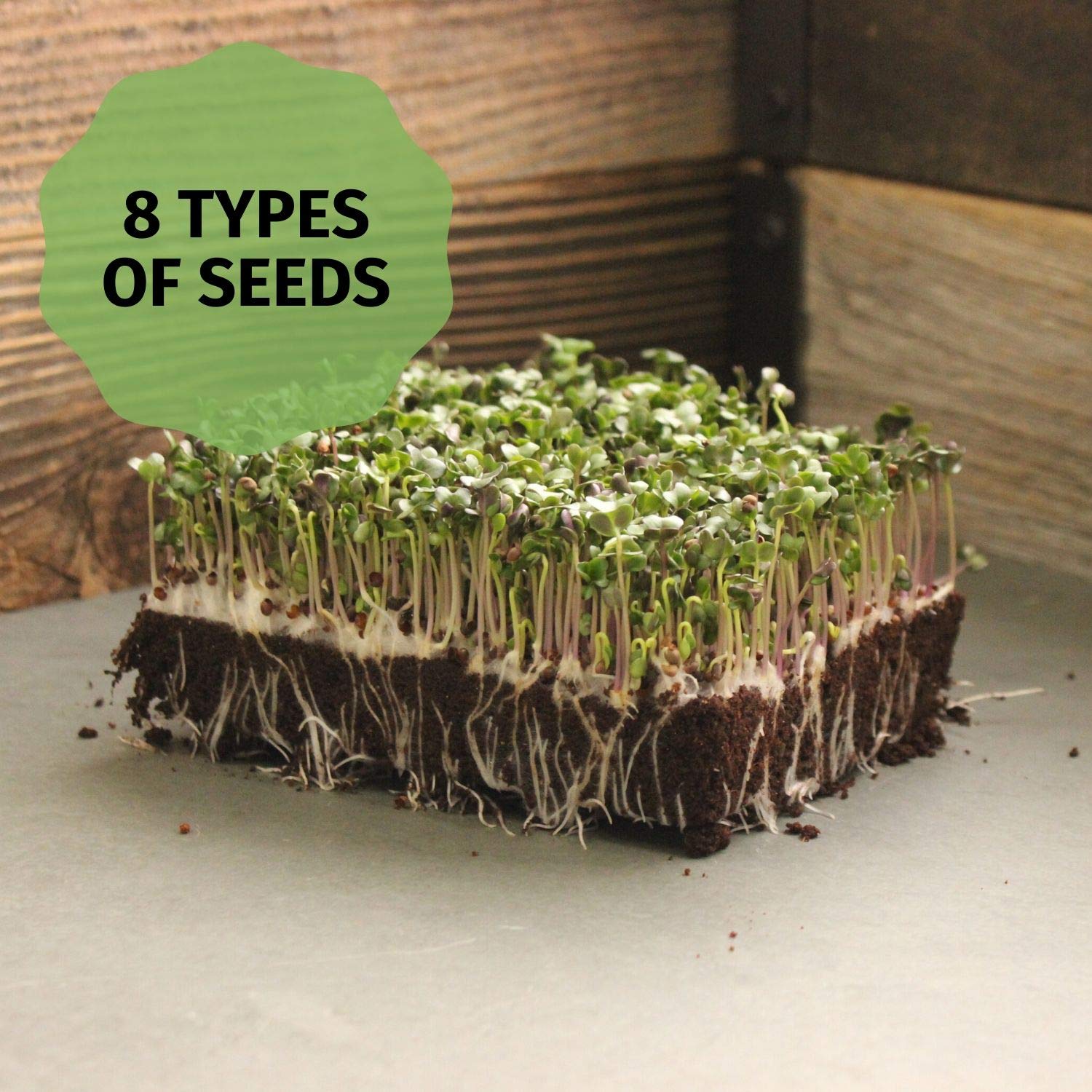 Hydroponic Microgreens Growing Kit - Complete Indoor Gardening System with Seeds, Trays & Instructions - Grow Fresh Greens & Herbs Year Round - Perfect for Home Chefs, Healthy Eating & Urban Farming