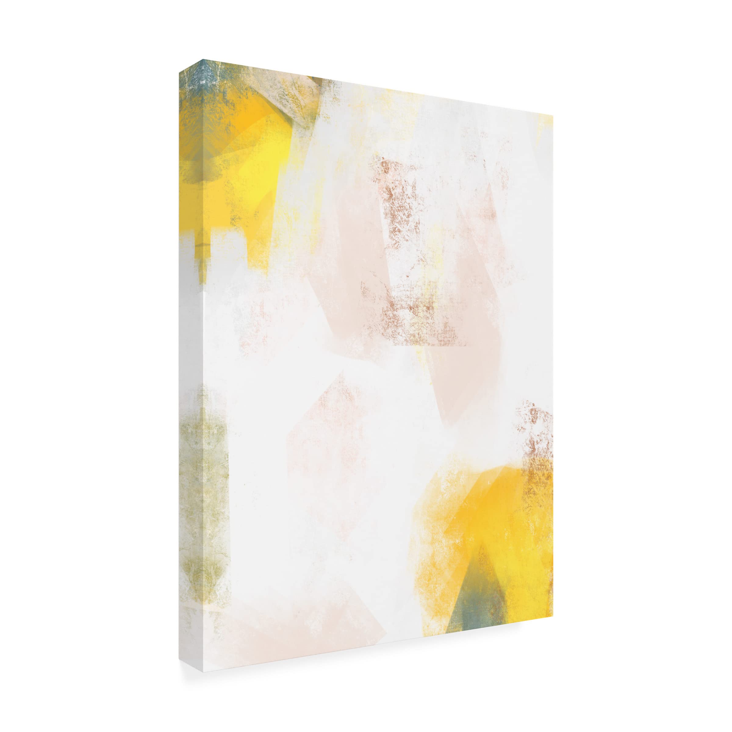 Emma Caroline 'Frenzy II' Modern Abstract Canvas Wall Art Print 24x32 Inches - Perfect for Living Room, Bedroom & Office Decor