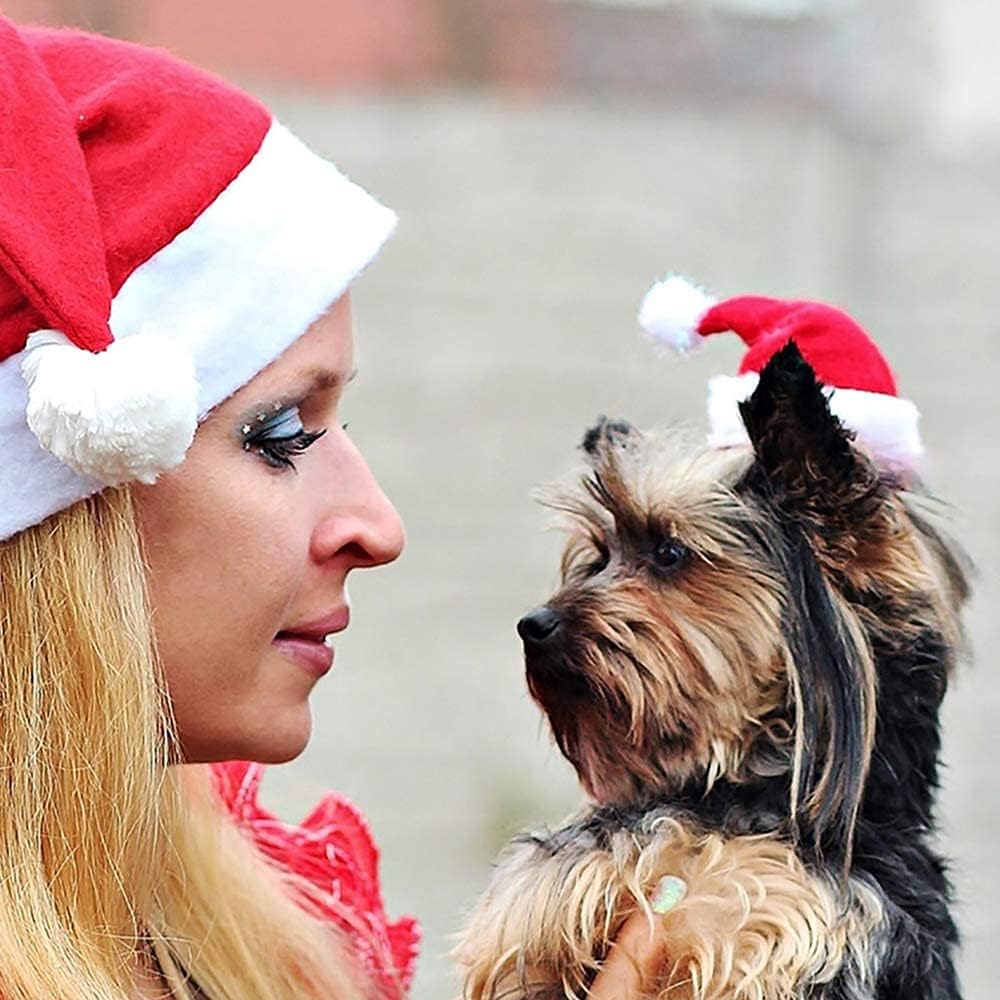 Festive Pet Santa Hats for Cats & Dogs - 2 Pack Red Christmas Costume Hats (5.5