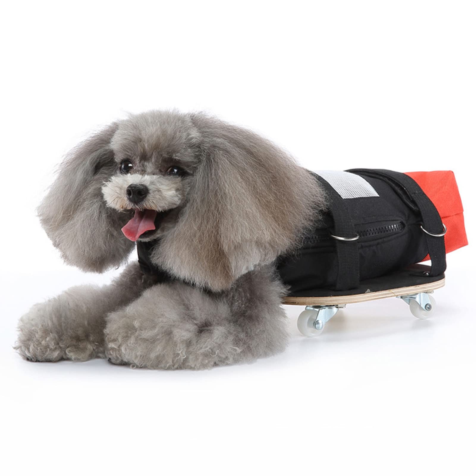 Dog & Cat Wheelchair for Hind Legs - Adjustable Pet Mobility Scooter with Silent Wheels for Disabled Pets (6.5-9kg/14.3-19.8lb) - Ideal for Post-Surgery Recovery & Arthritis Relief