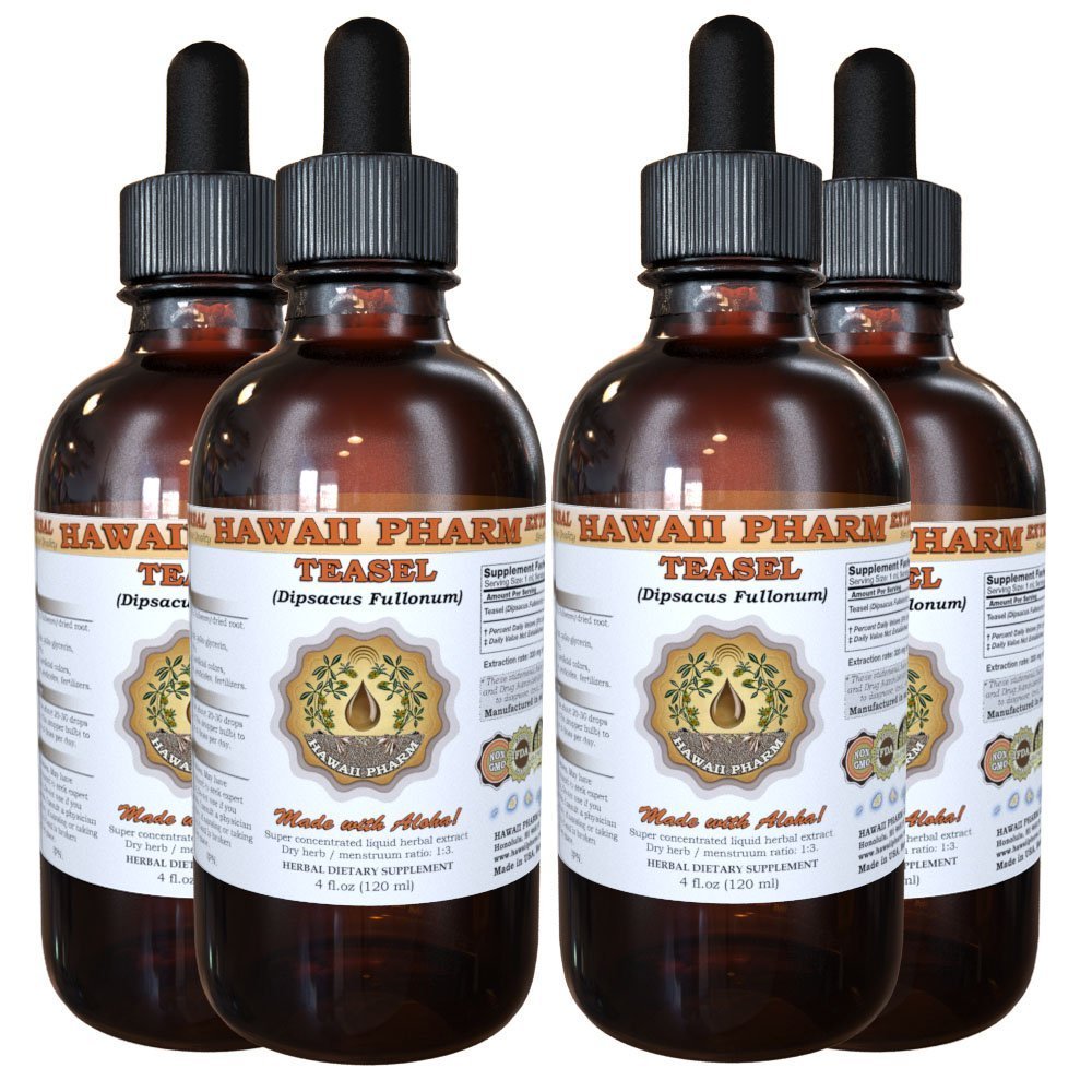 Organic Teasel Root Liquid Extract (Dipsacus fullonum) - Herbal Tincture Supplement for Immune Support & Joint Health - 4 fl oz Bottle - Made in USA by Hawaii Pharm - Perfect for Natural Wellness & Holistic Remedies