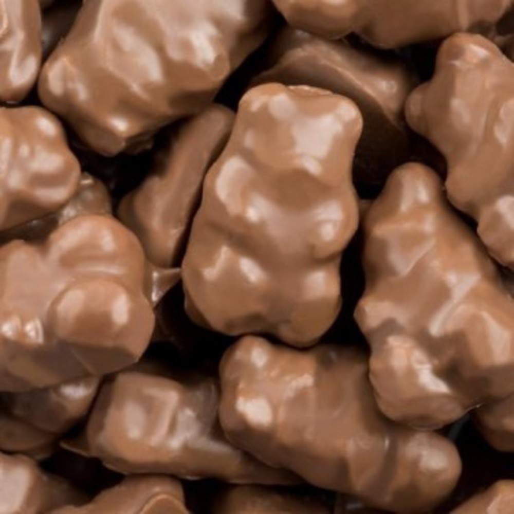 Premium Soft & Chewy Milk Chocolate Covered Gummy Bears - 1 LB Bulk Pack of Delicious Candy for Parties, Snacking & Gift Giving | World's Best Gourmet Gummies