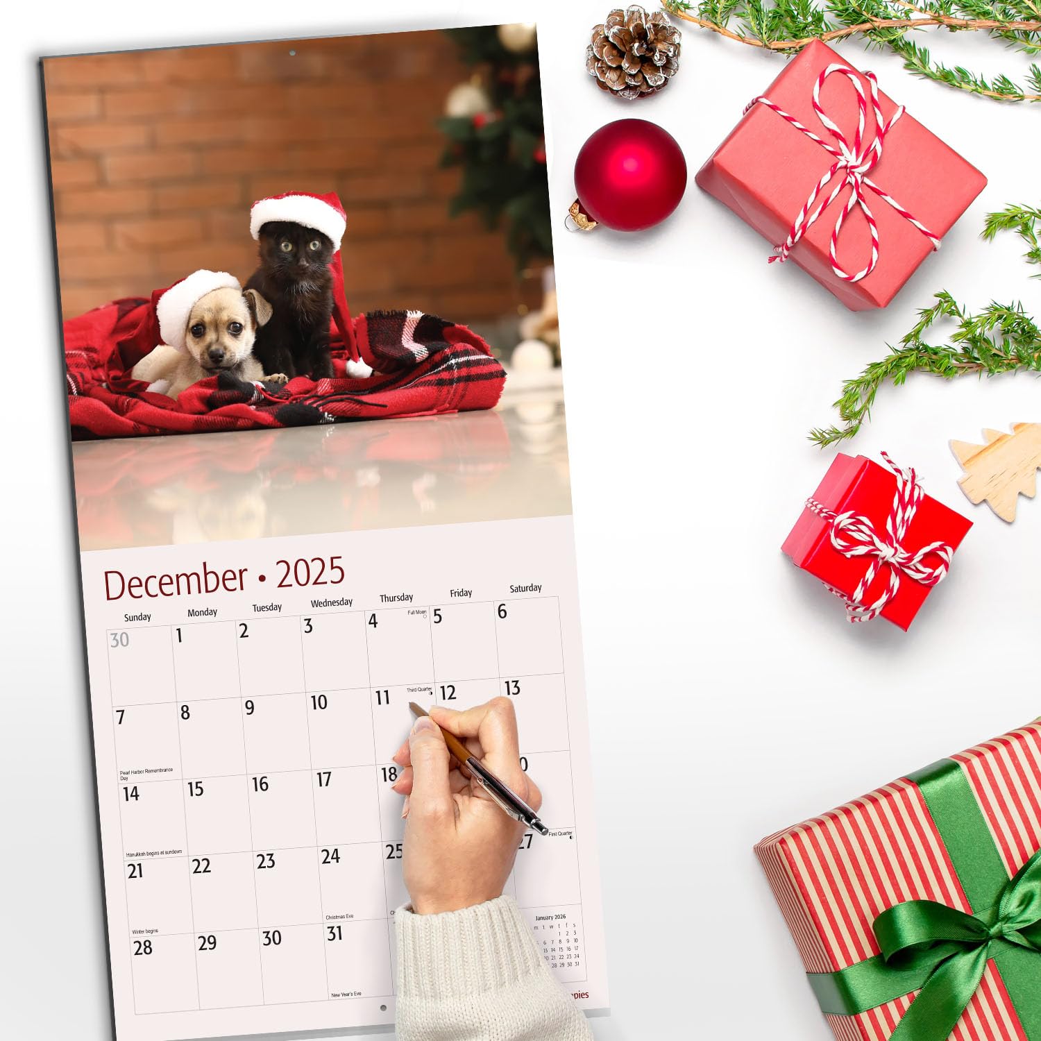 RED EMBER Kittens & Puppies 2025 Wall Calendar - 12 Month Large 12x24 Inch with Thick Sturdy Paper - Perfect Gift for Pet Lovers, Home & Office Decor