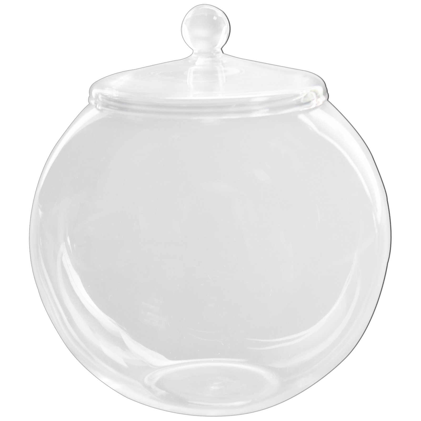 7.9 Inch Glass Terrarium Container with Lid - Large Display Jar for Plants, Cookies, Candies, DIY Crafts - Perfect for Home Decor, Wedding Centerpieces & Gift Packaging