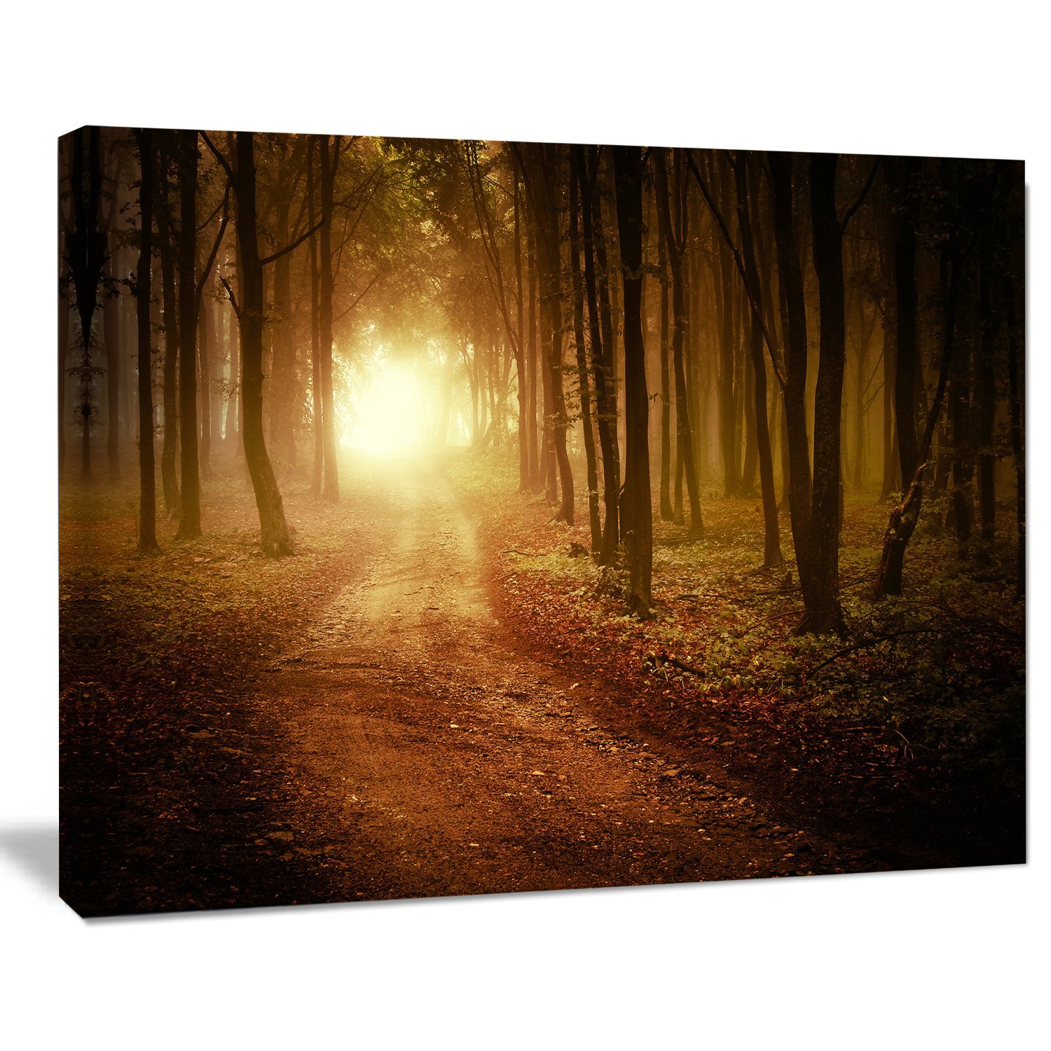 Foggy Forest Sunrise Landscape Photography Canvas Print - Nature Wall Art for Living Room, Bedroom & Office Decor