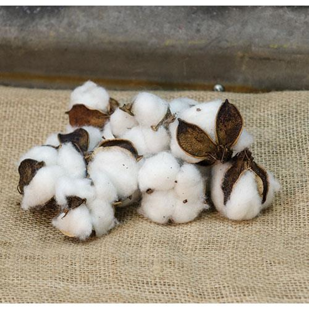 Premium Cotton Ball Bag - Soft & Absorbent for Makeup Removal, Nail Polish, First Aid & Baby Care | 100% Natural Cotton, 300 Count, Resealable Packaging