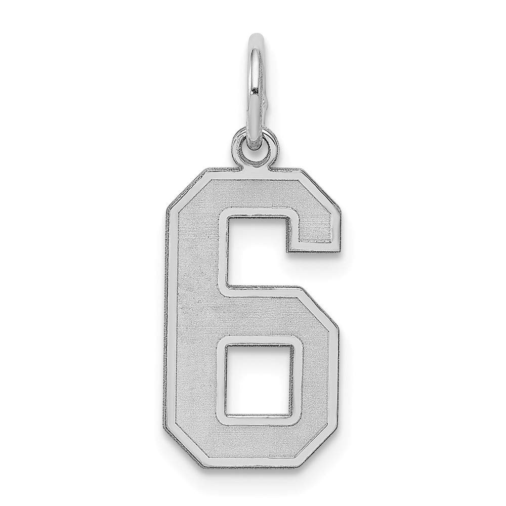 Roy Rose Jewelry Sterling Silver Medium Satin Number 6 Pendant Necklace - Perfect for Birthdays, Anniversaries & Personalized Gifts